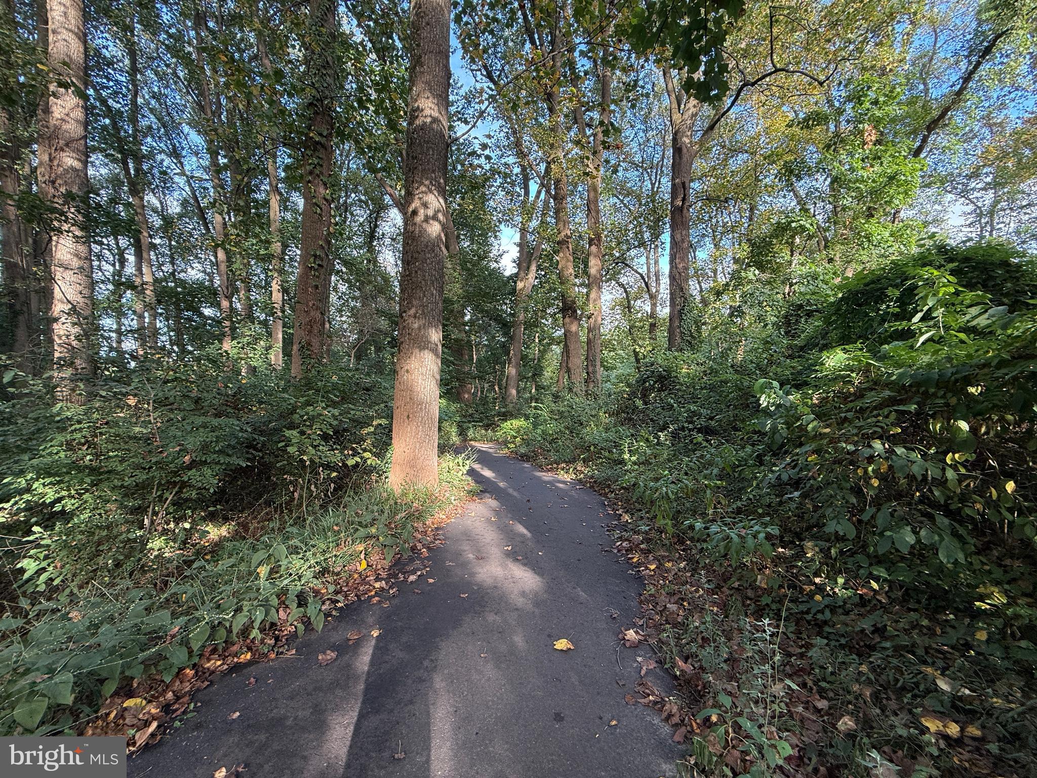 LEE HEIGHTS - Residential