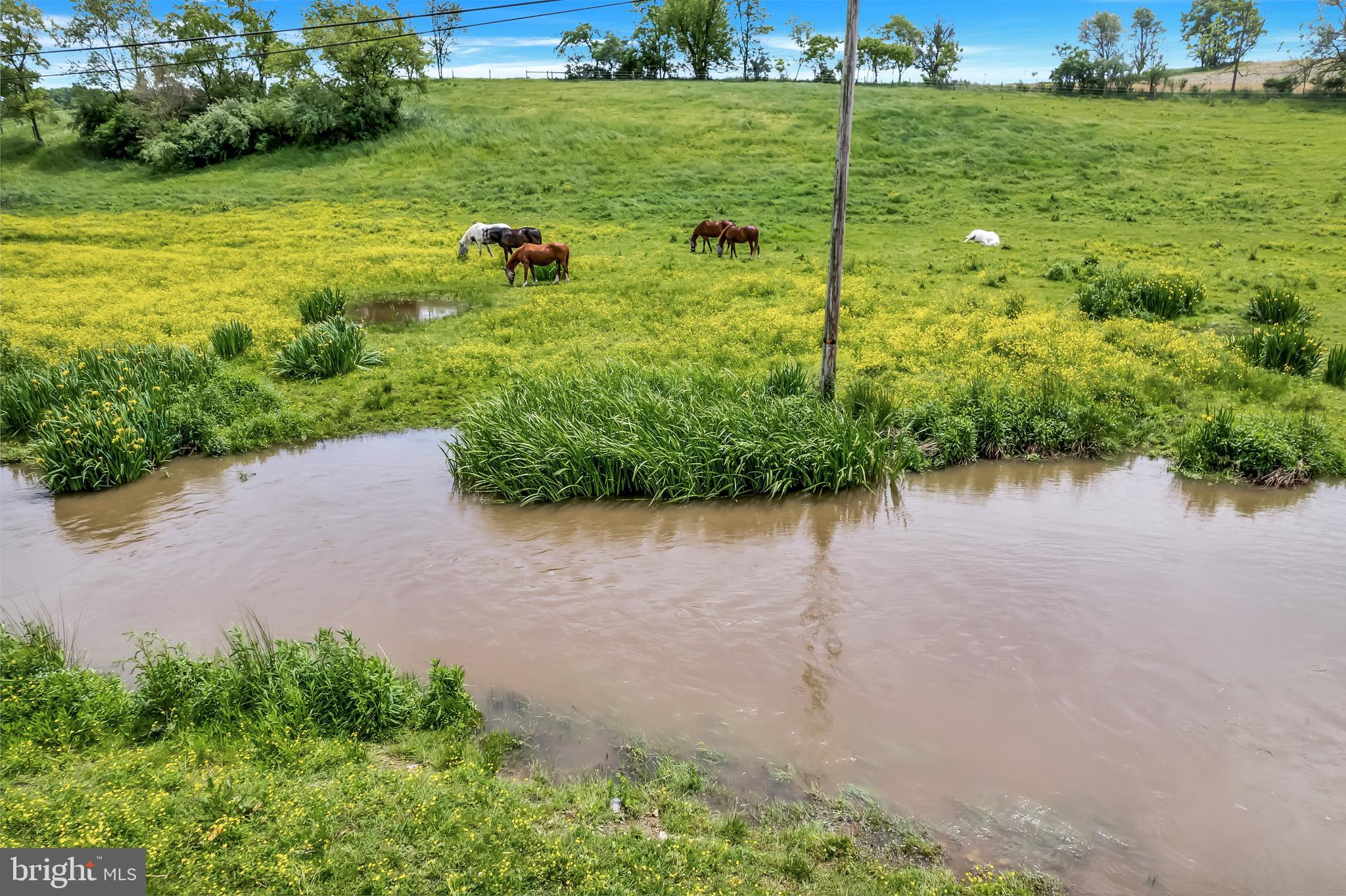 NONE AVAILABLE - Farm