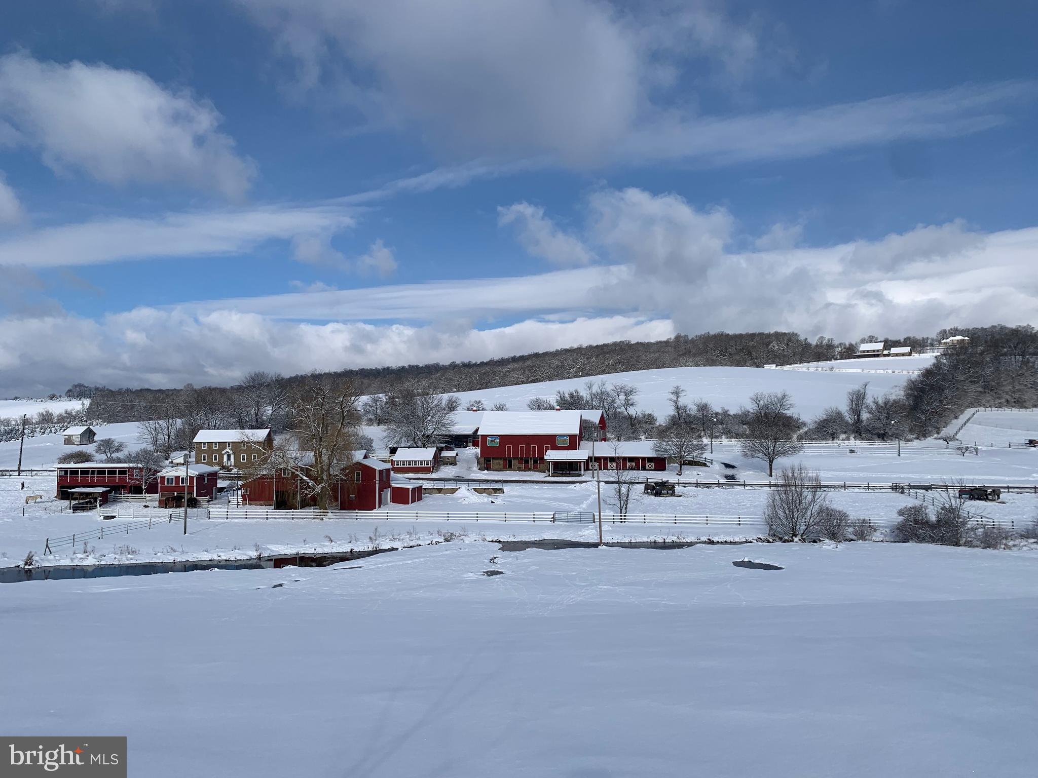 NONE AVAILABLE - Farm