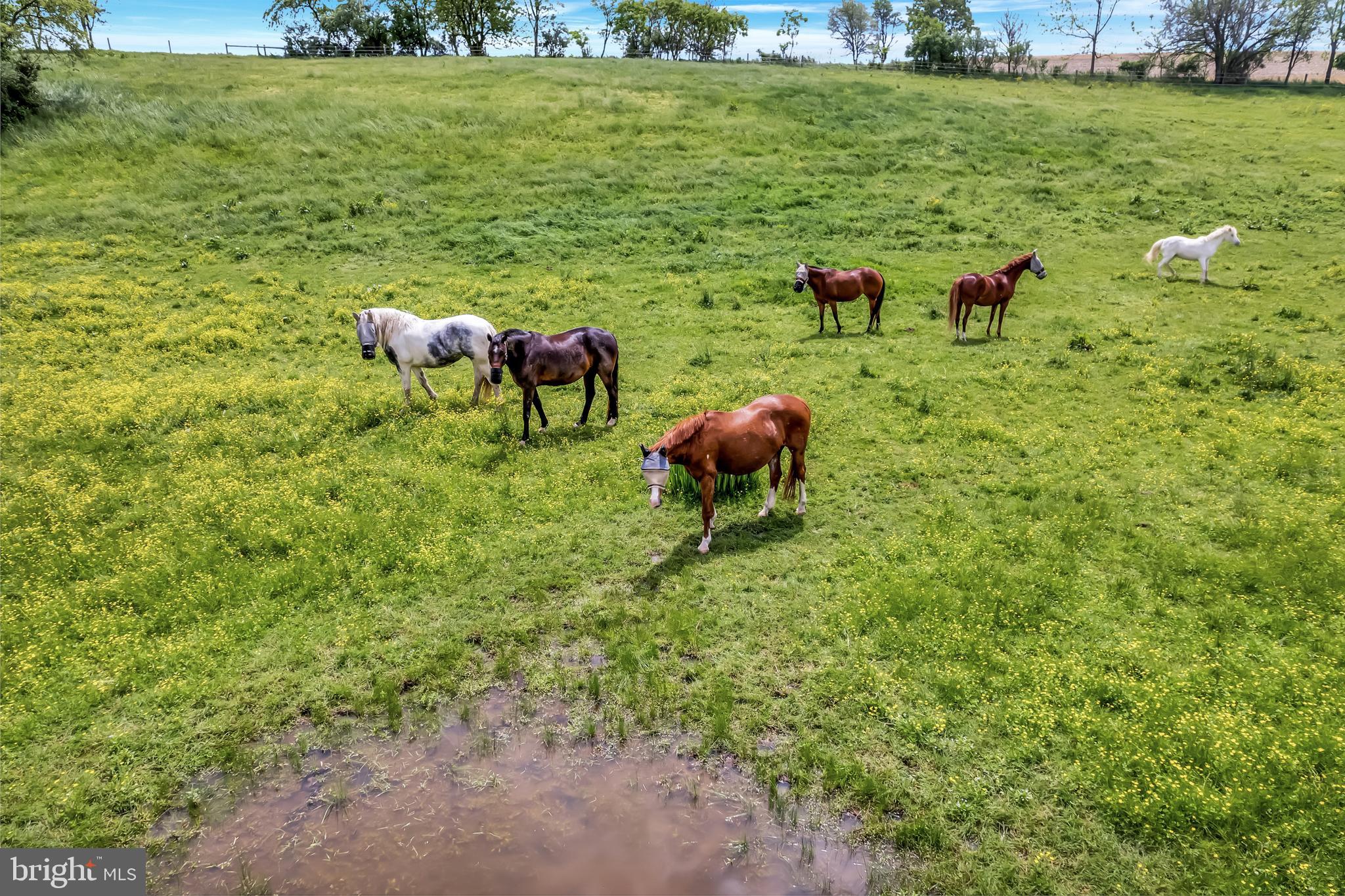 NONE AVAILABLE - Farm