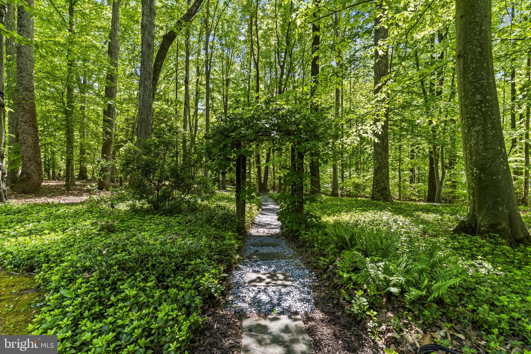 FERRY LANDING WOODS - Residential