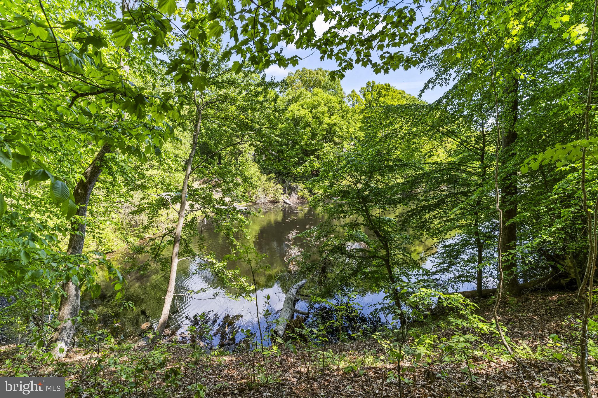 FERRY LANDING WOODS - Residential