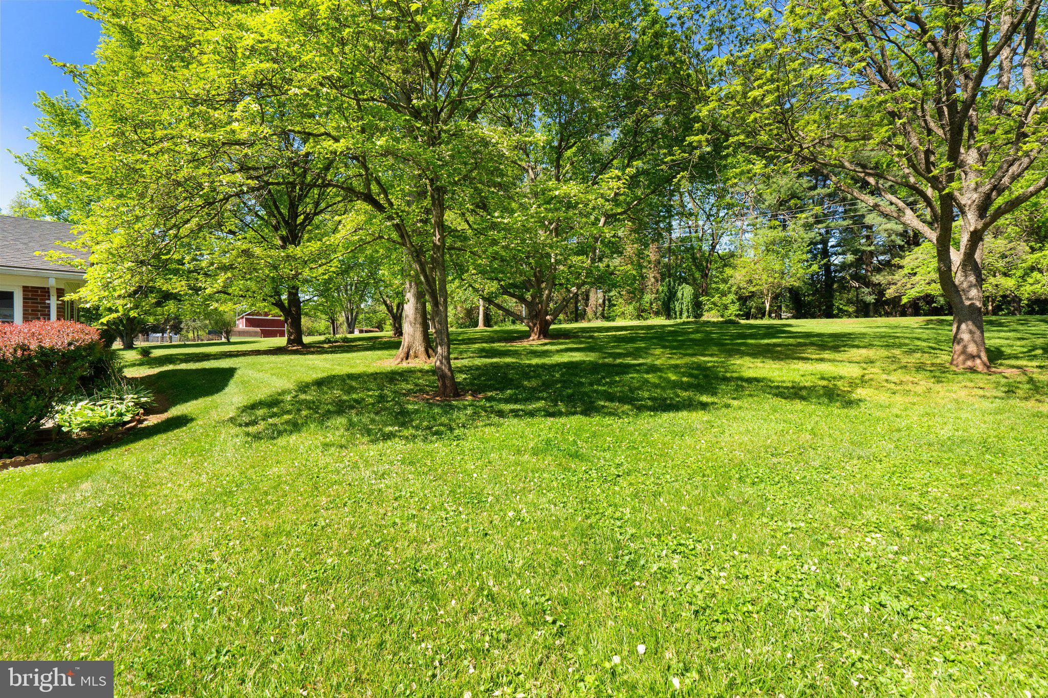 WINFREY CARLETON HILLS - Residential