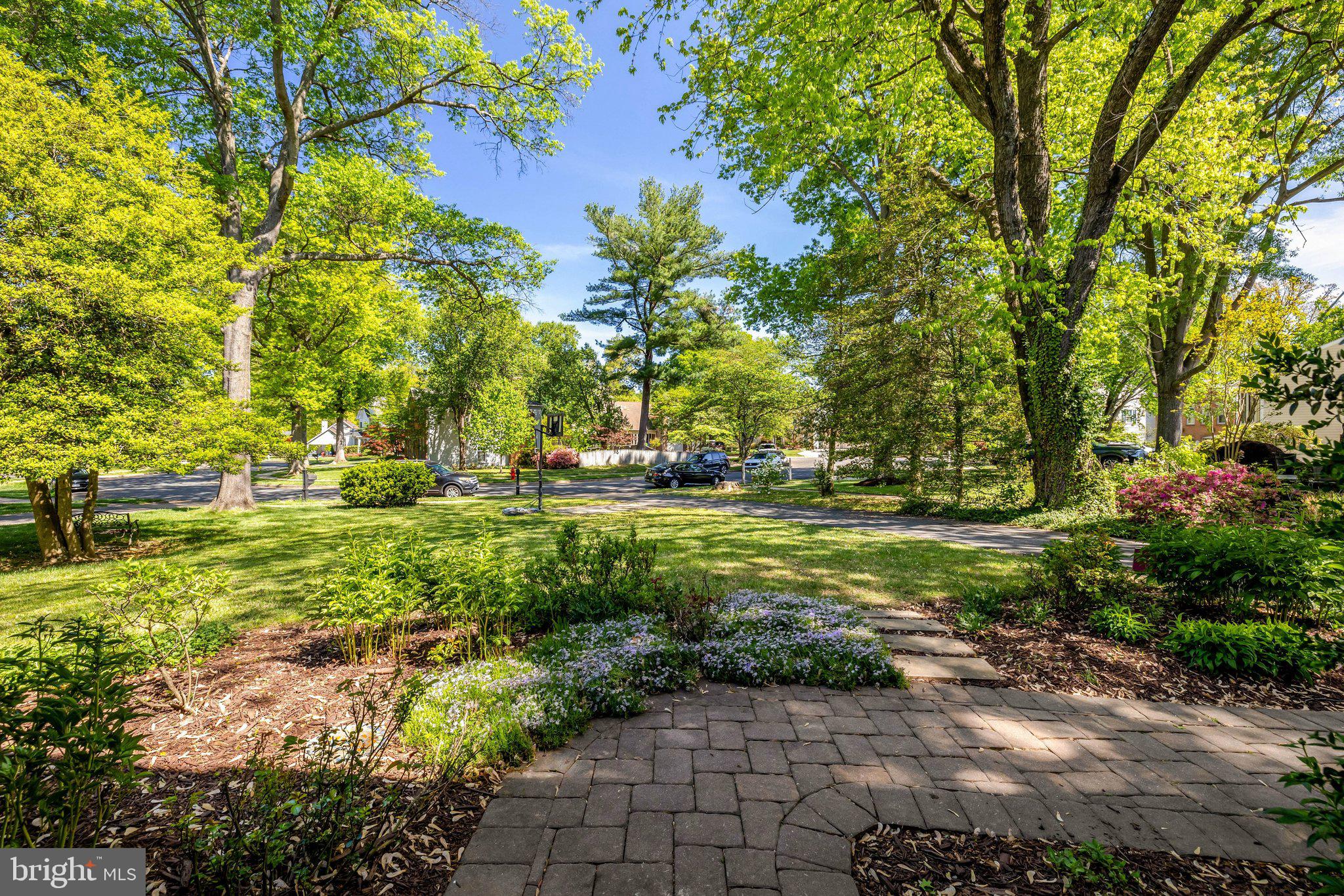 BLAIR WOODS - Residential