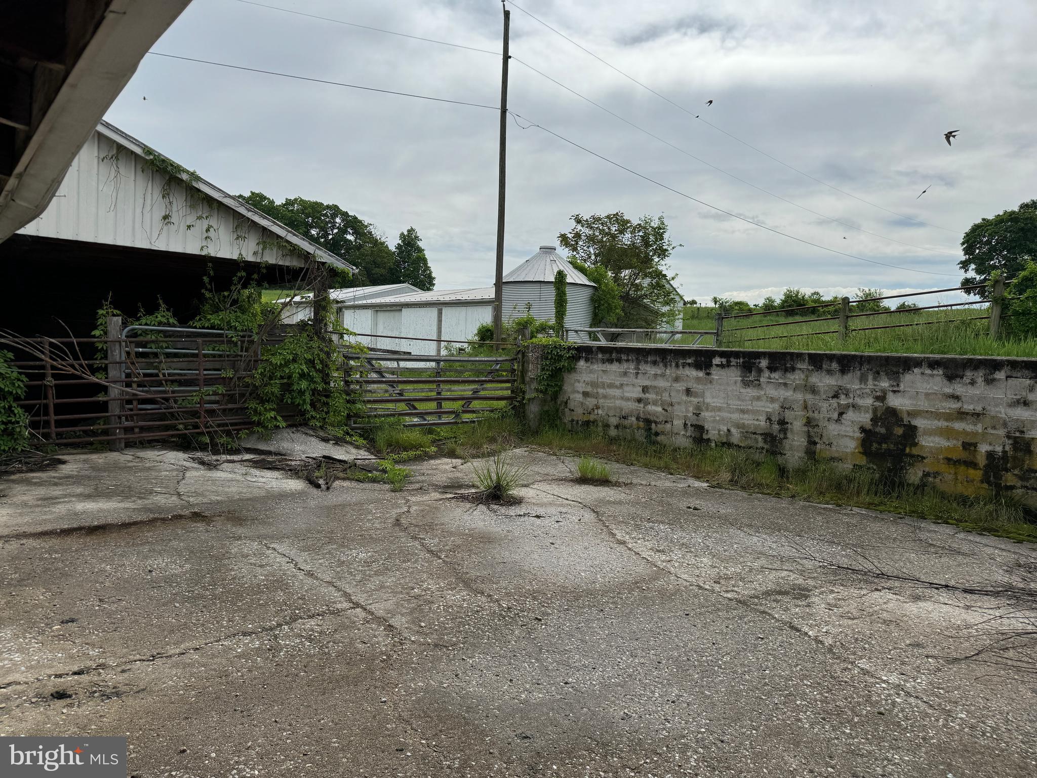 NONE AVAILABLE - Farm