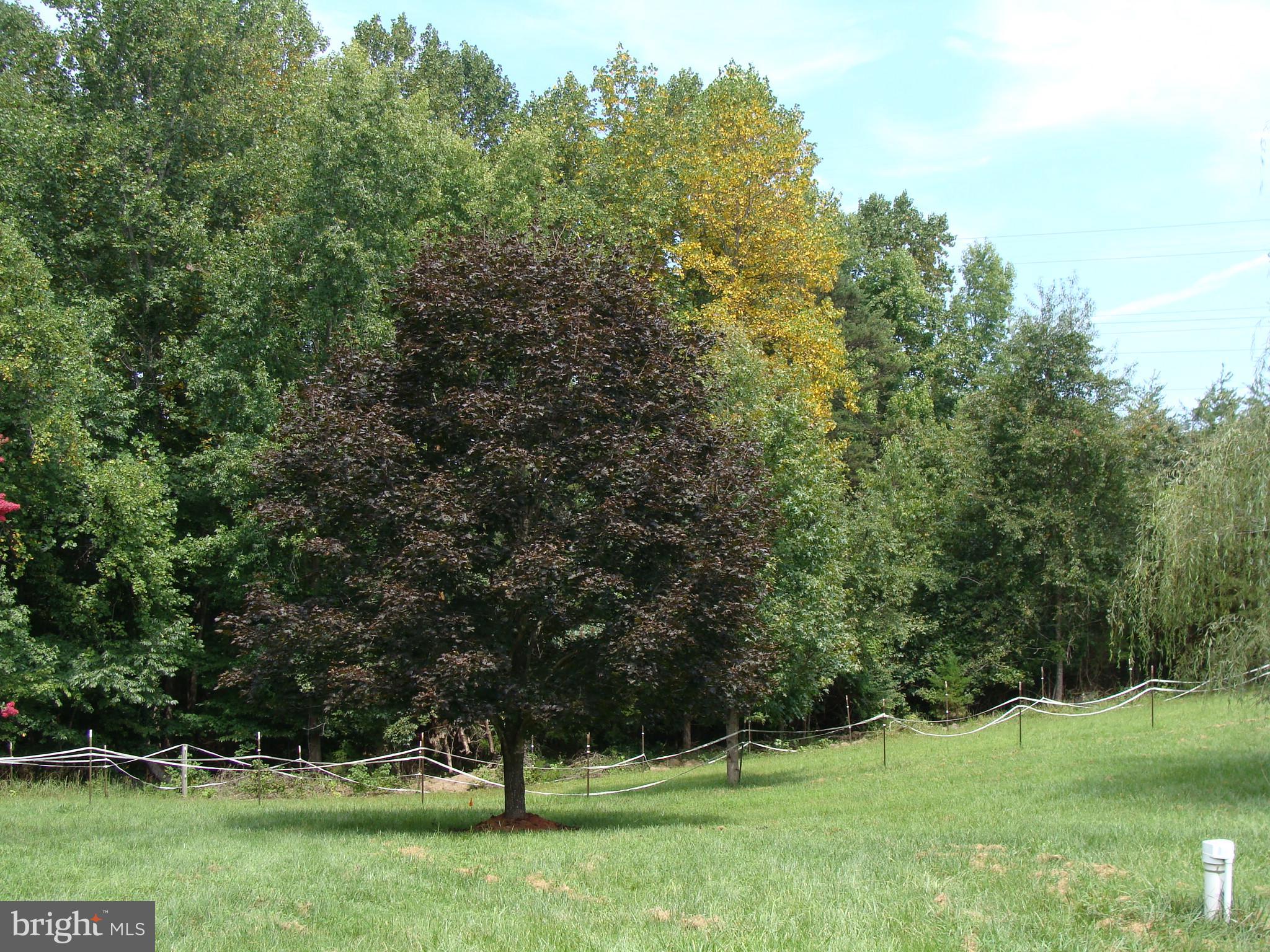 WESTWOOD RESERVE - Residential