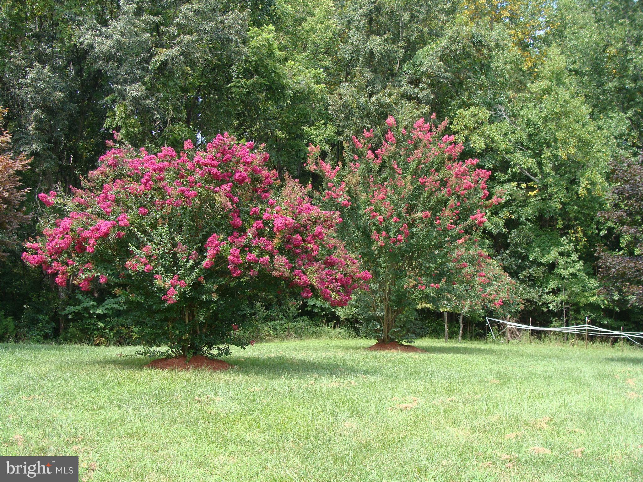 WESTWOOD RESERVE - Residential