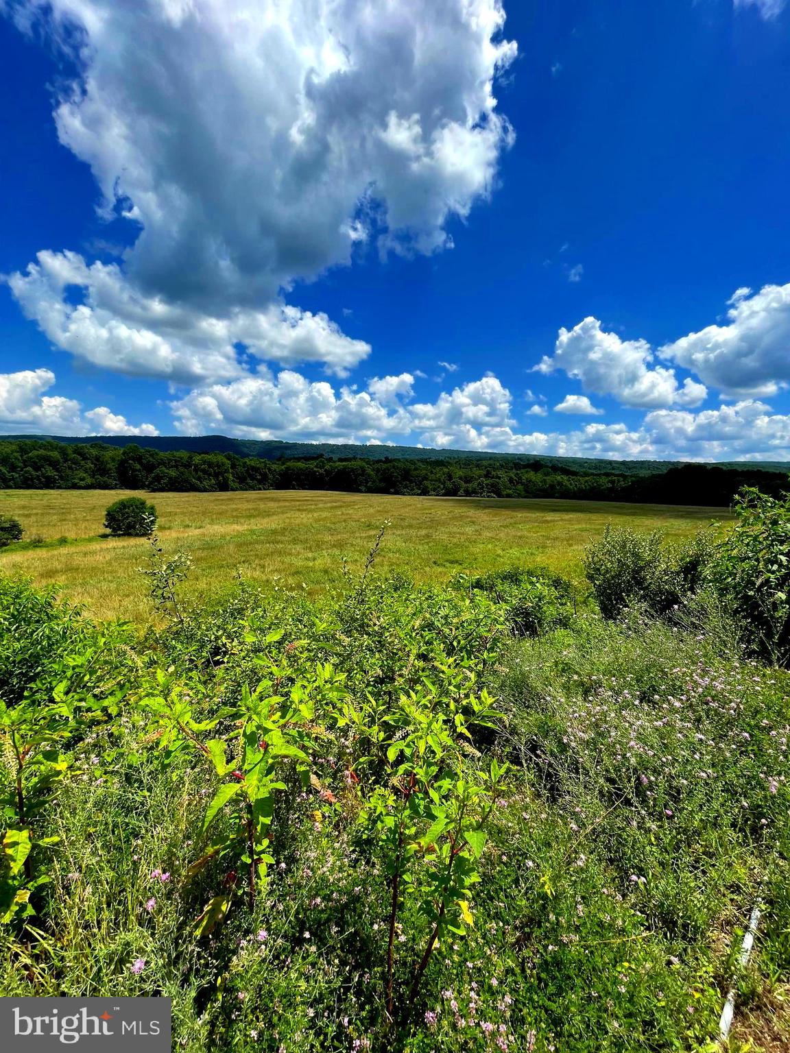 BACK CREEK - Residential