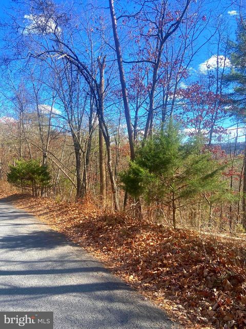 SPITZ LN. BASYE VA 22810