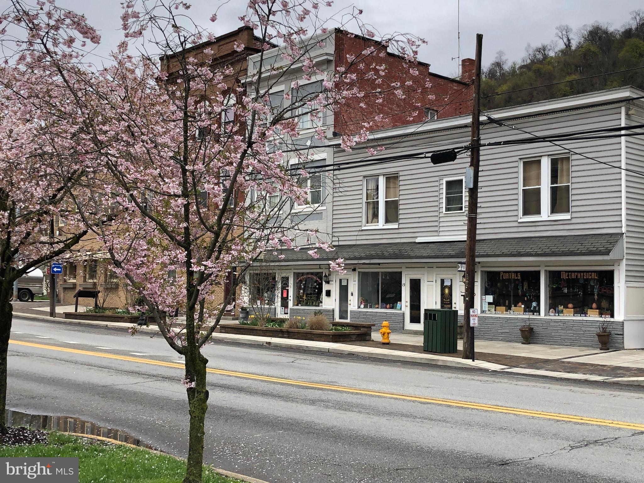 One bedroom 1 bath apartment in the center of Berkeley Springs. Rent includes water, sewer & trash. Bedroom is 10 x 12, kitchen is 12 x 5 & bathroom is 8 x 8, & living room is 12 x 11. No smoking, No pets. Federal fair housing laws apply.