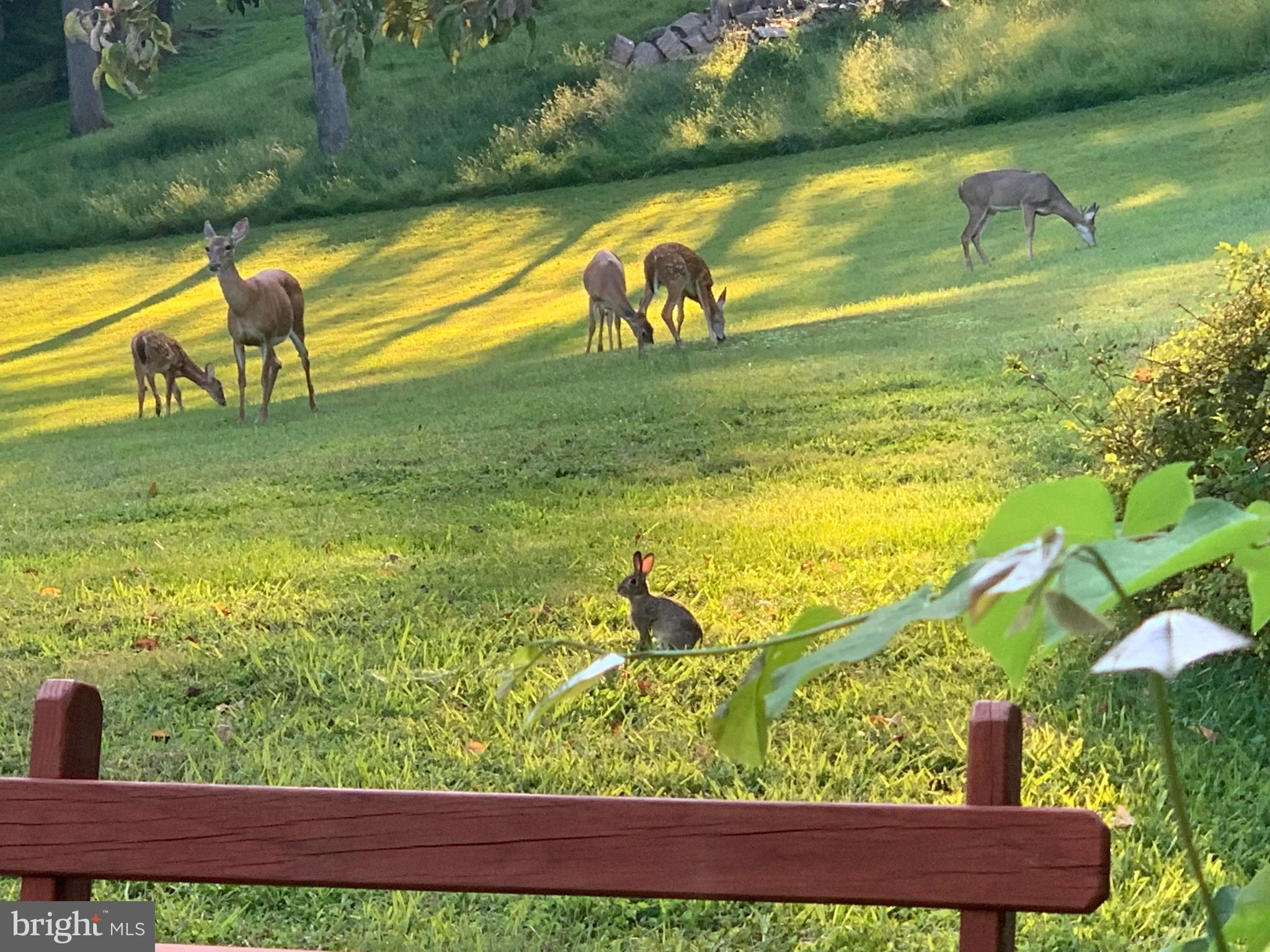 PLEASANT HILLS - Residential