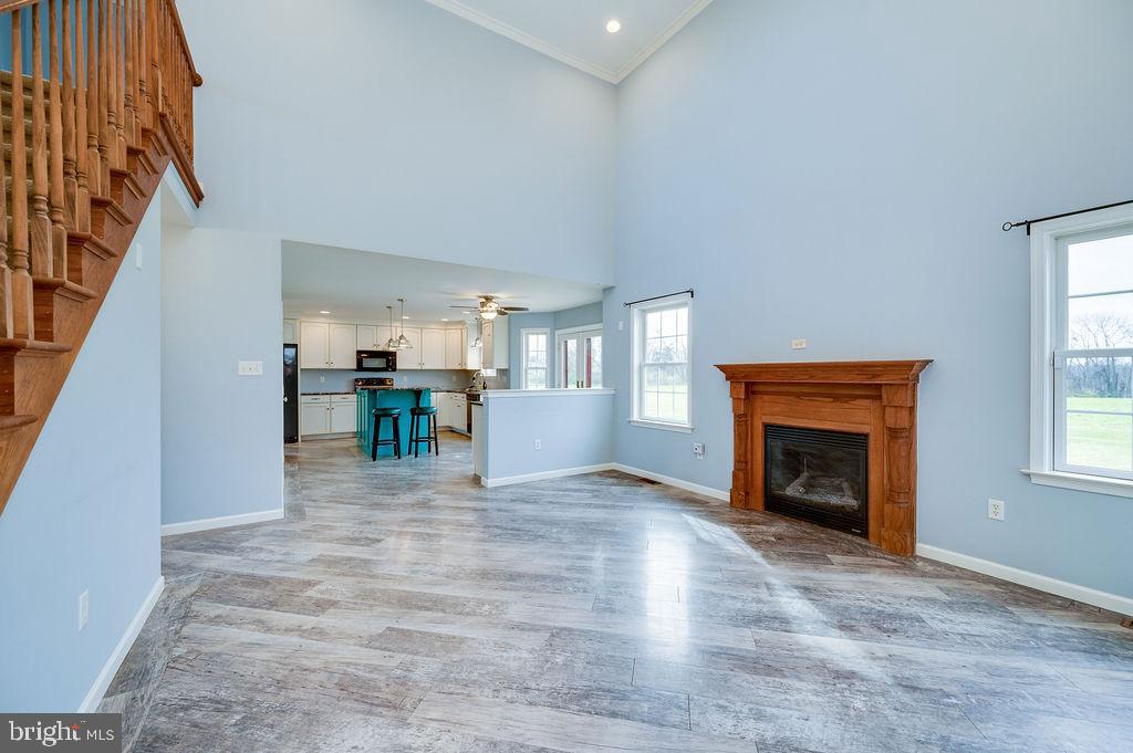 NONE AVAILABLE - Farm