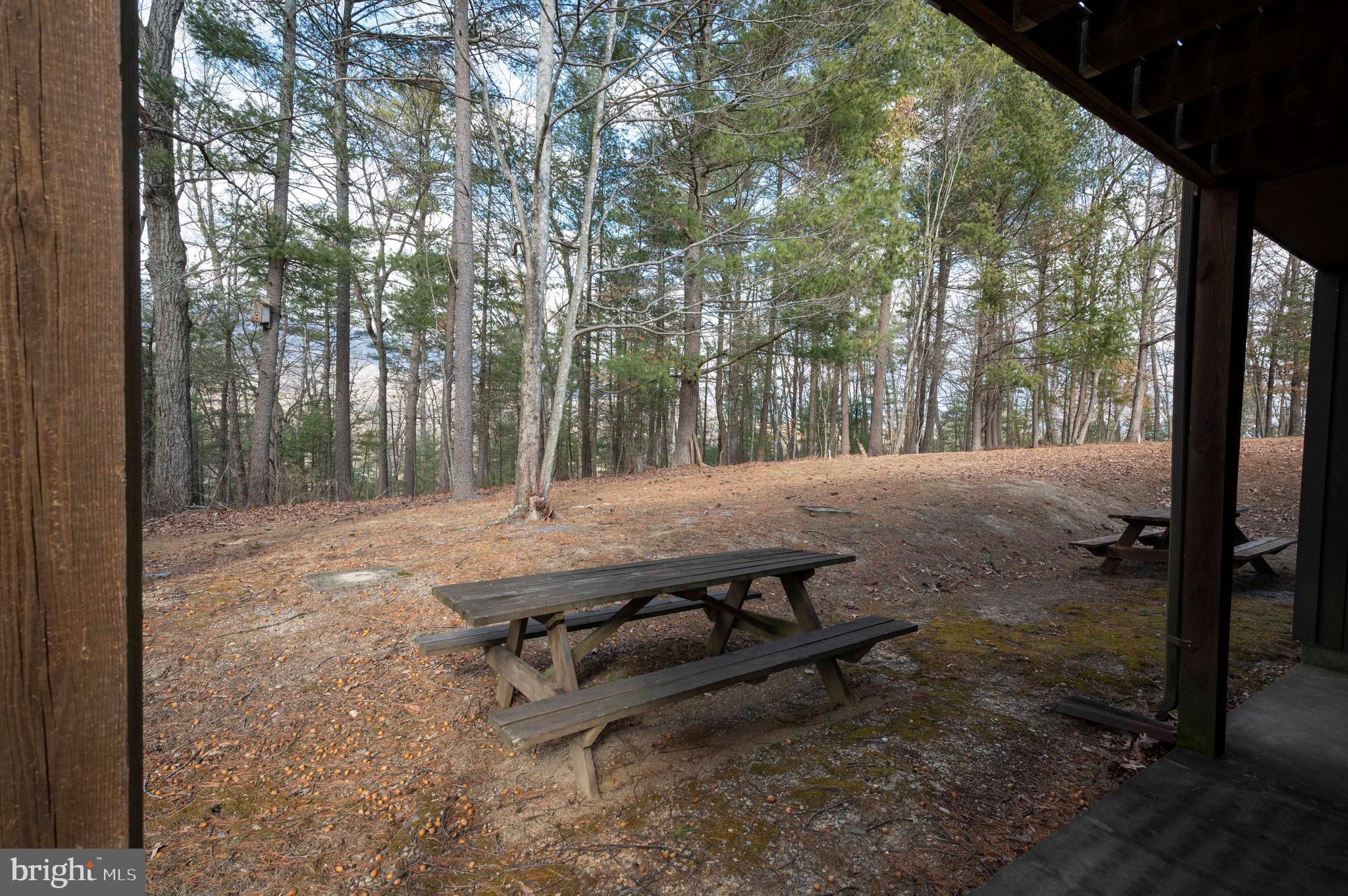 BRYCE  MOUNTAIN - Residential