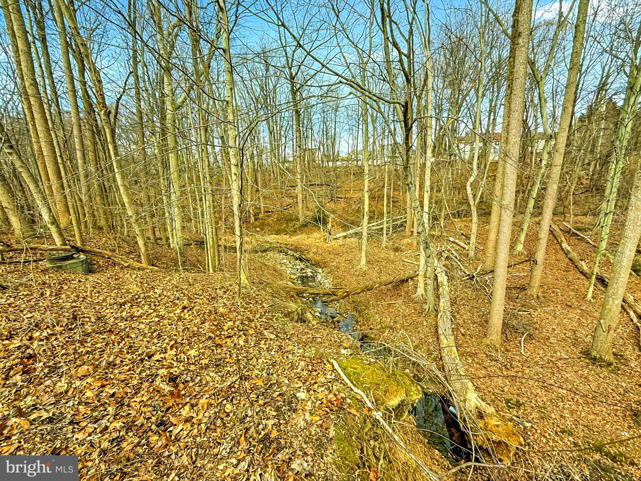 FOXBOROUGH FARMS - Residential