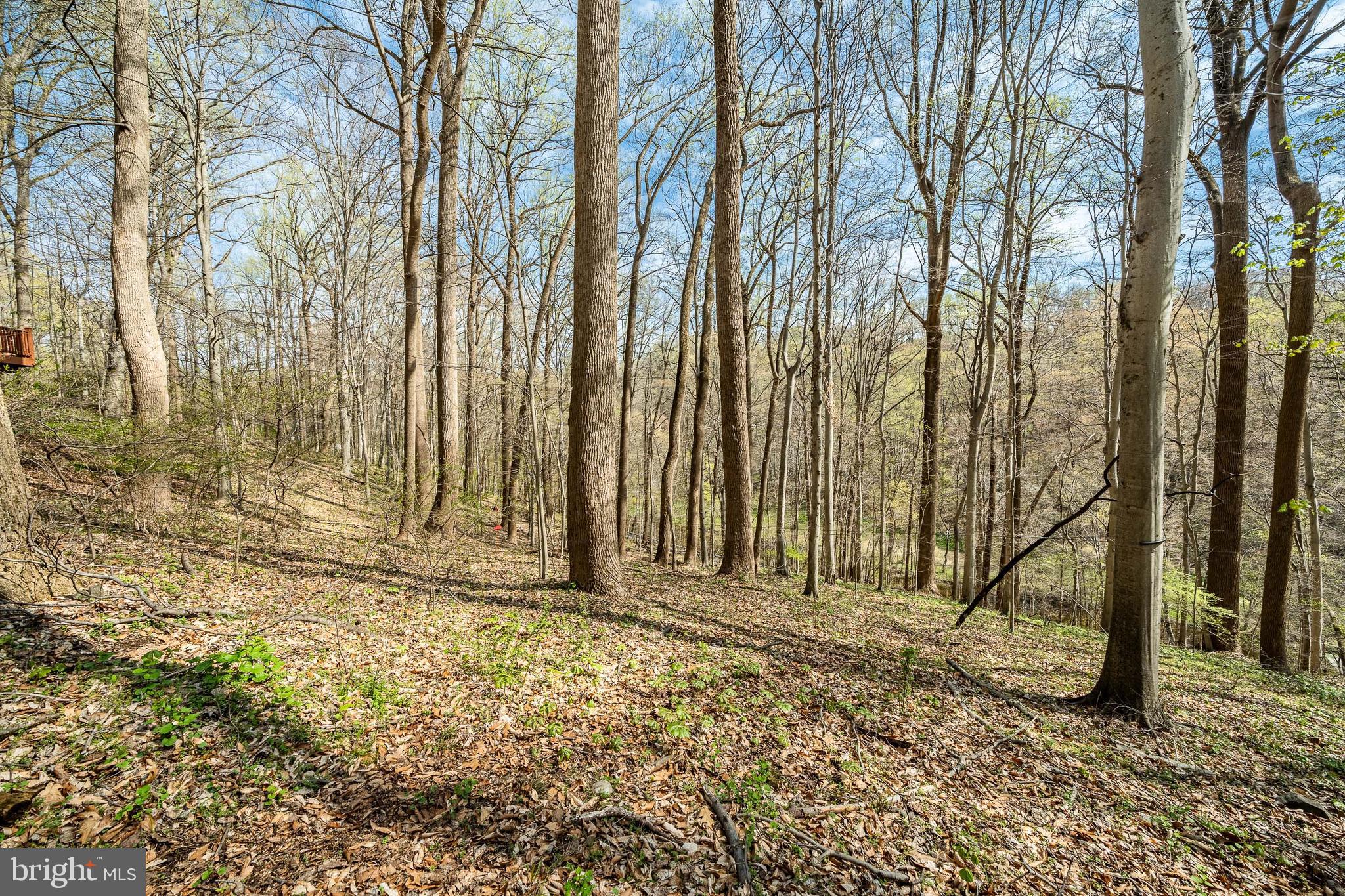 TIMBER MILL - Residential