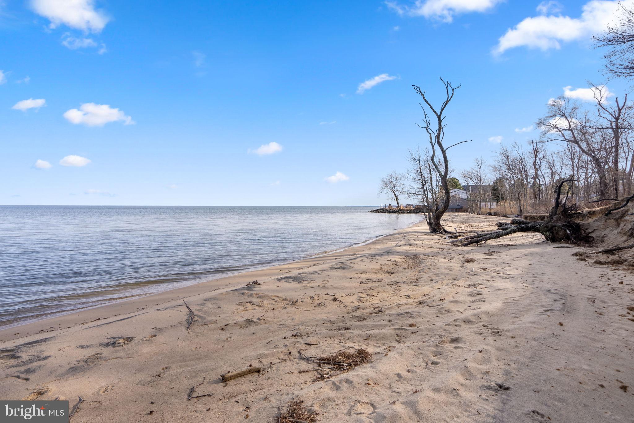 CHESAPEAKE HEIGHTS - Residential