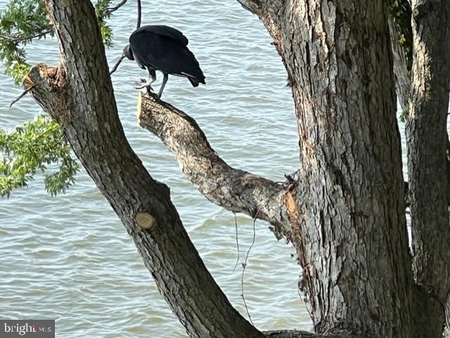 SWAN CREEK CLUB - Residential