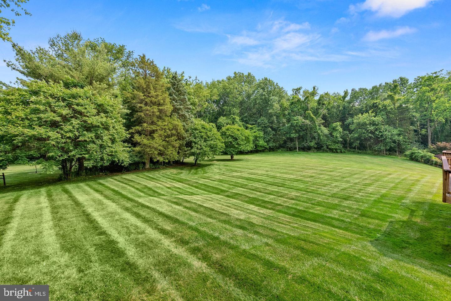 1003 CORALBERRY COURT
