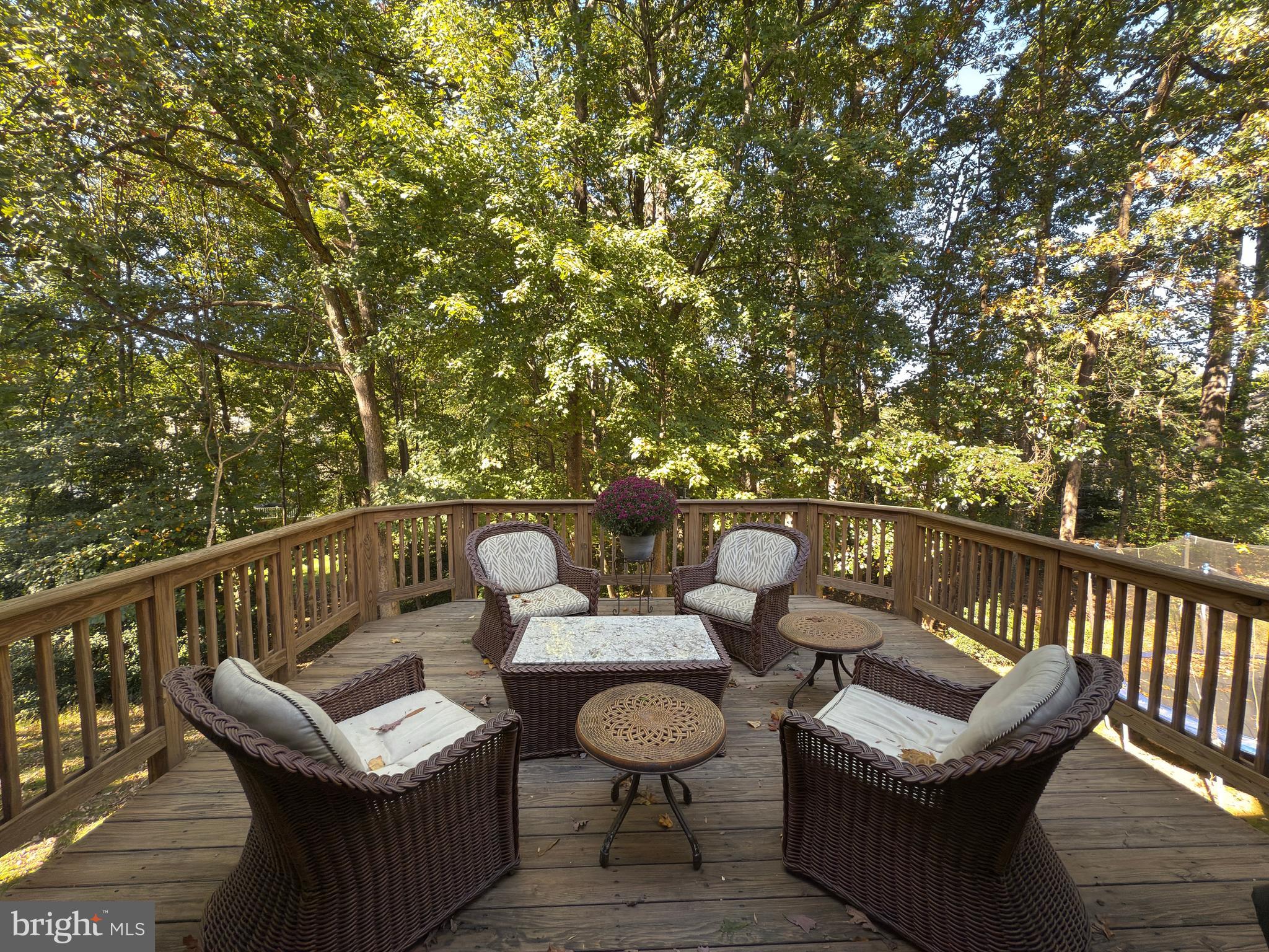 RESTON - Residential Lease