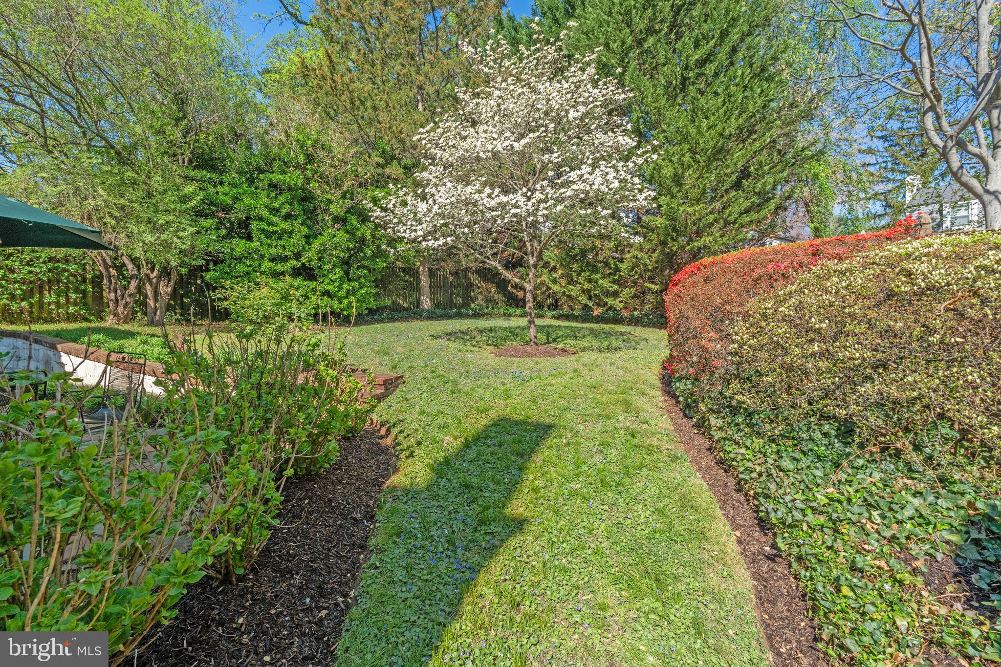 CHEVY CHASE - Residential