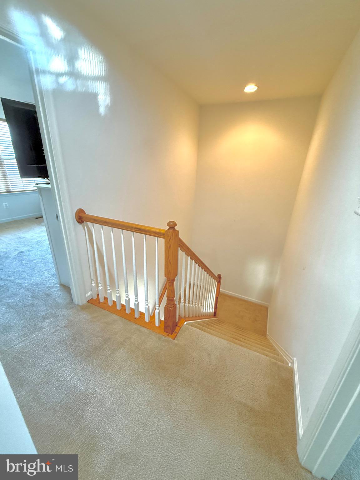 MEADOWSATCHESTNUTRID - Residential