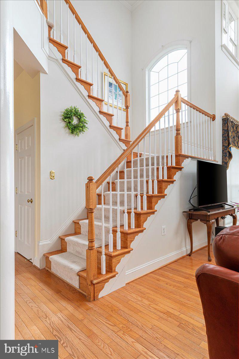 MORLYN HILLS - Residential