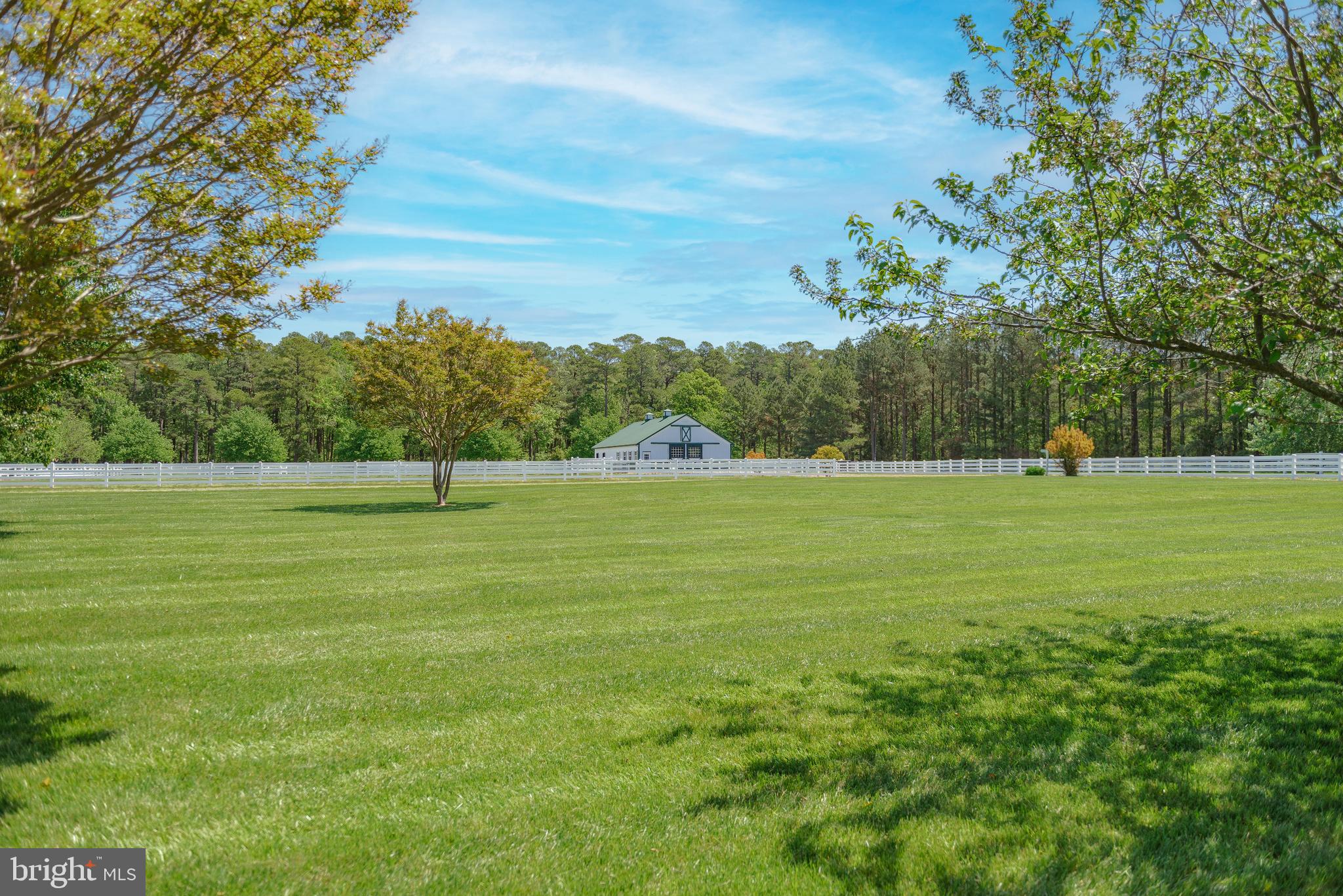 ROYAL OAK - Residential