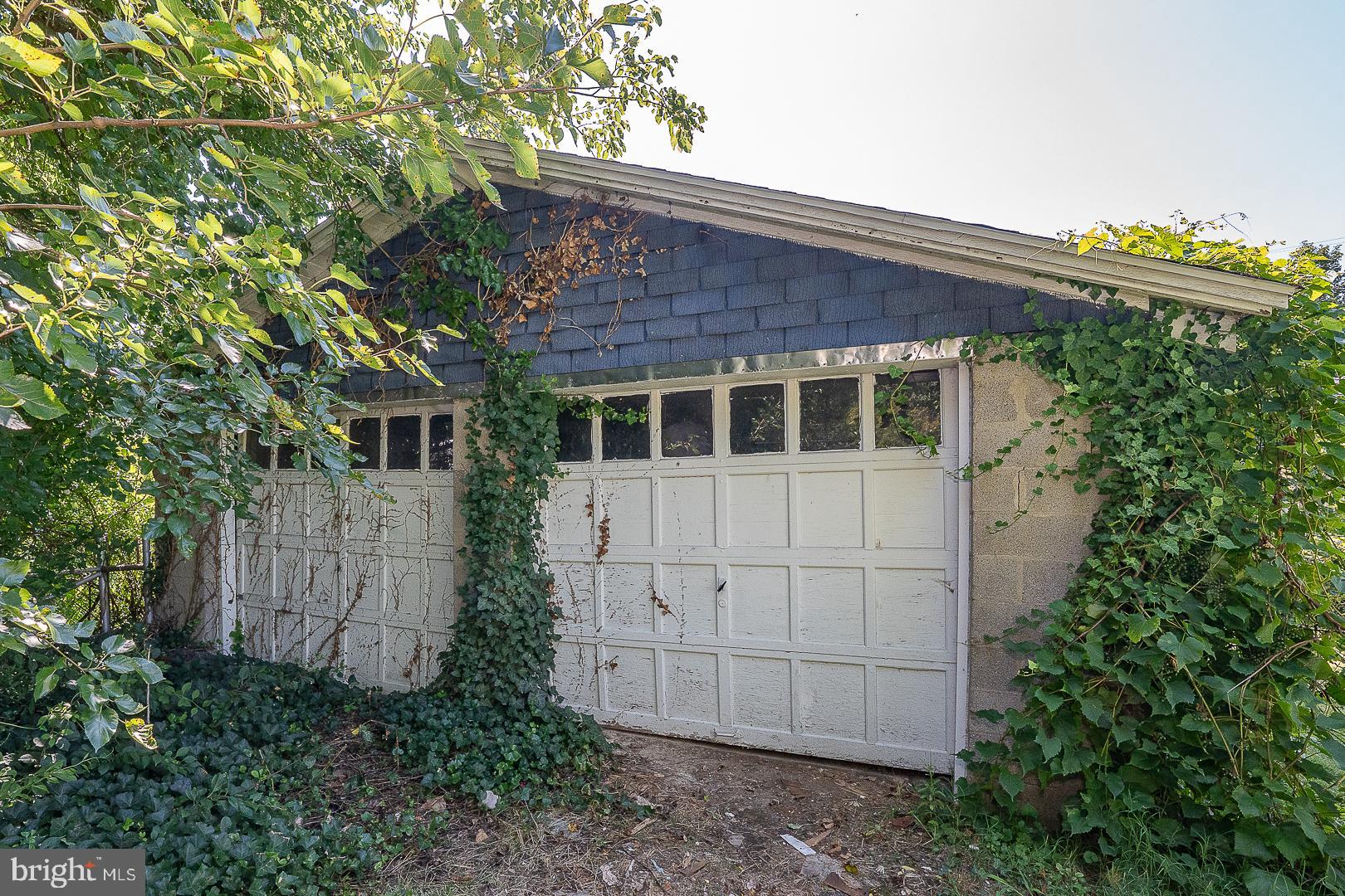 RIDLEY PARK - Residential