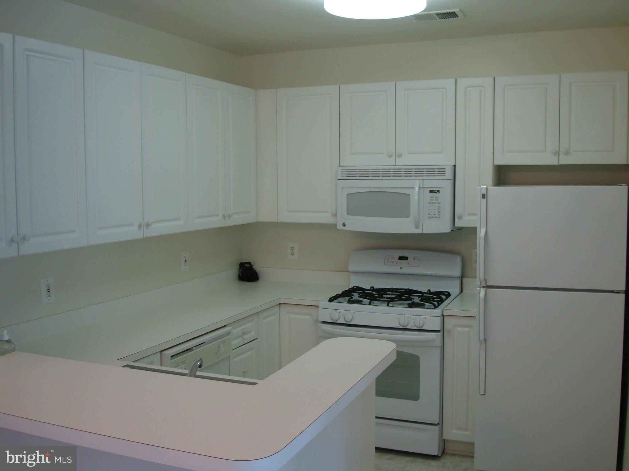 THE PAVILION - Residential Lease