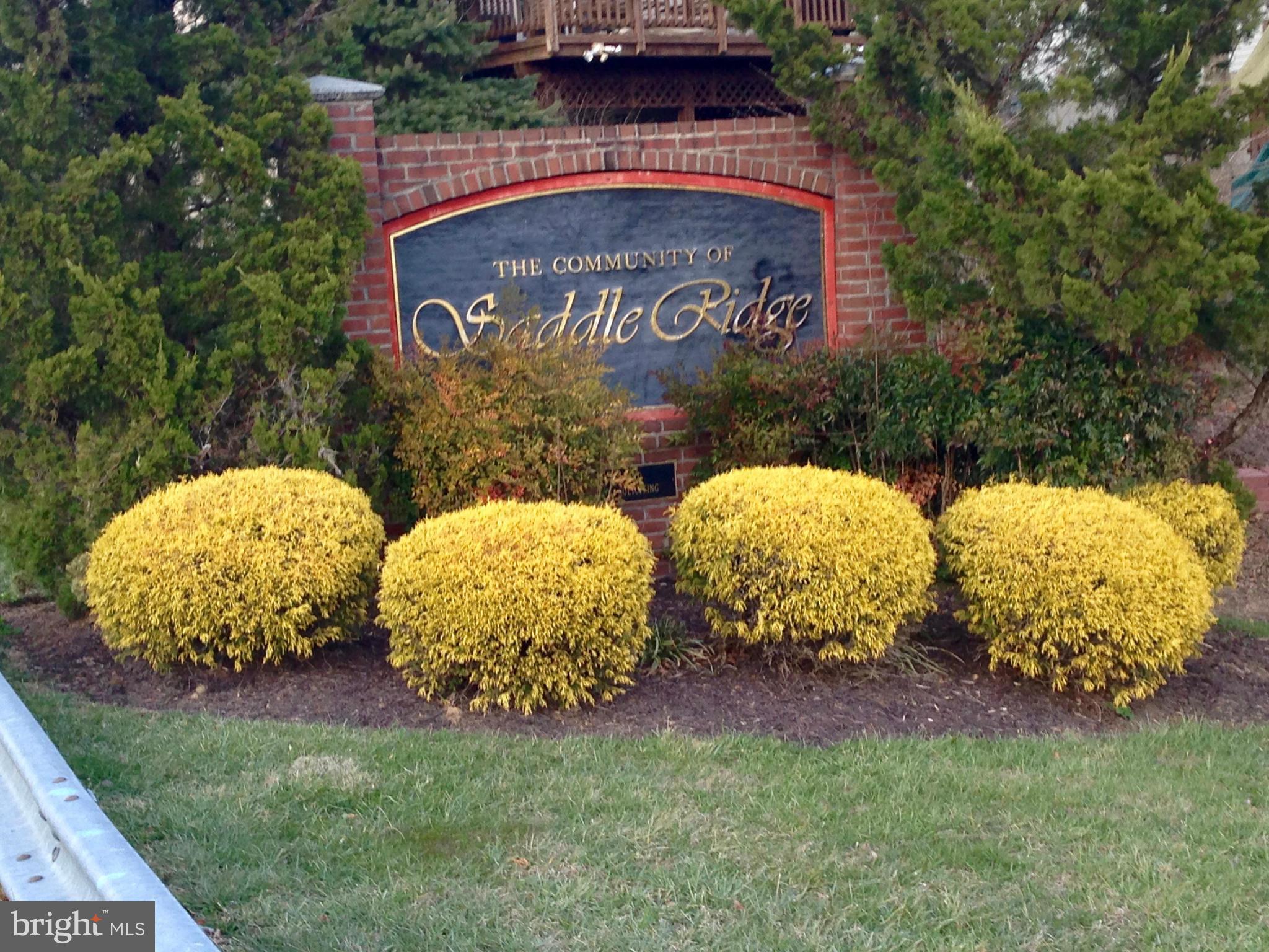 SADDLE RIDGE - Residential