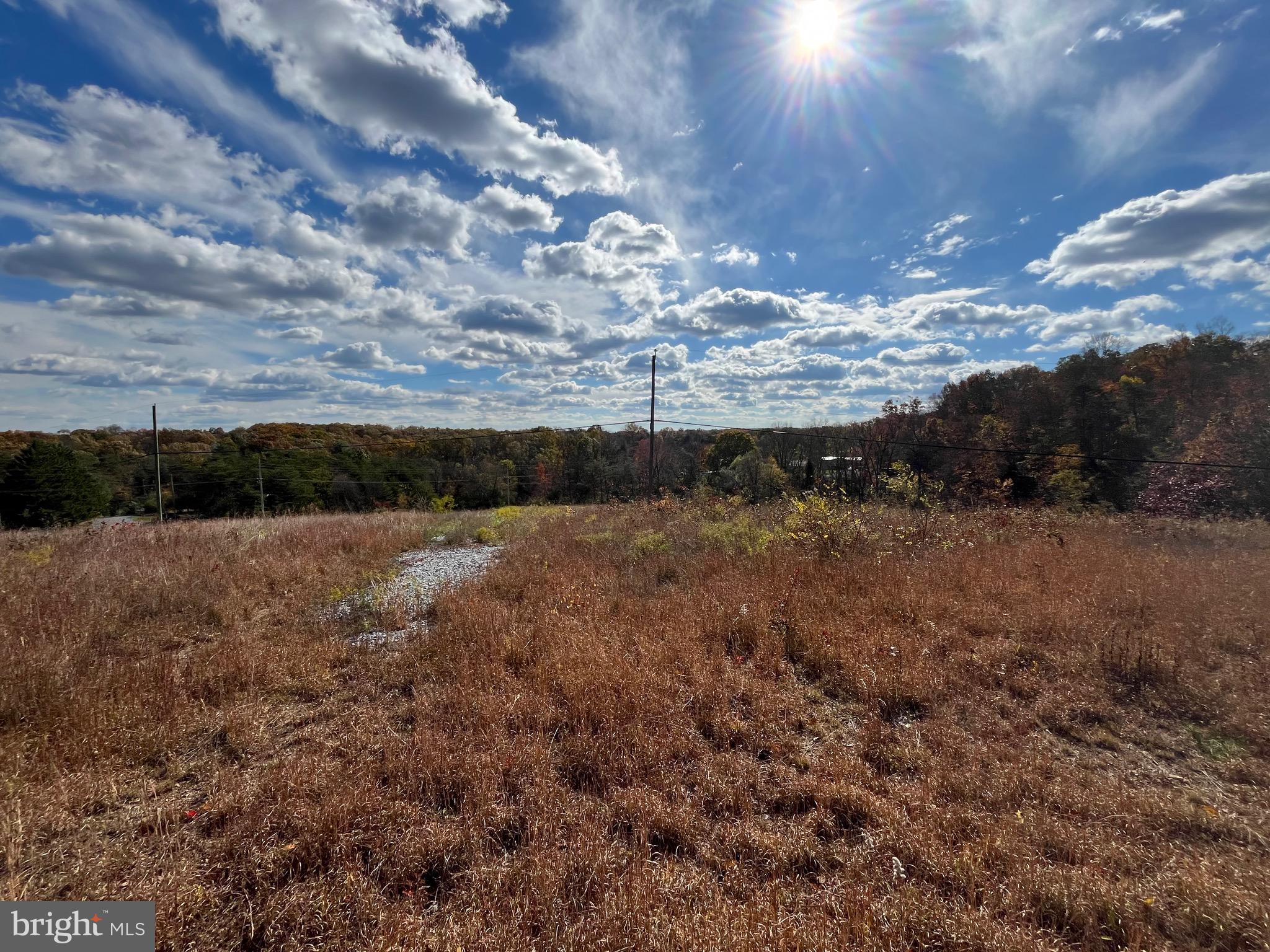CHESTNUT HILL - Land