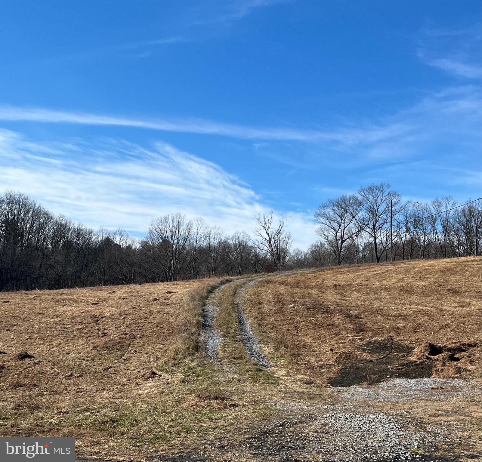 CHESTNUT HILL - Land