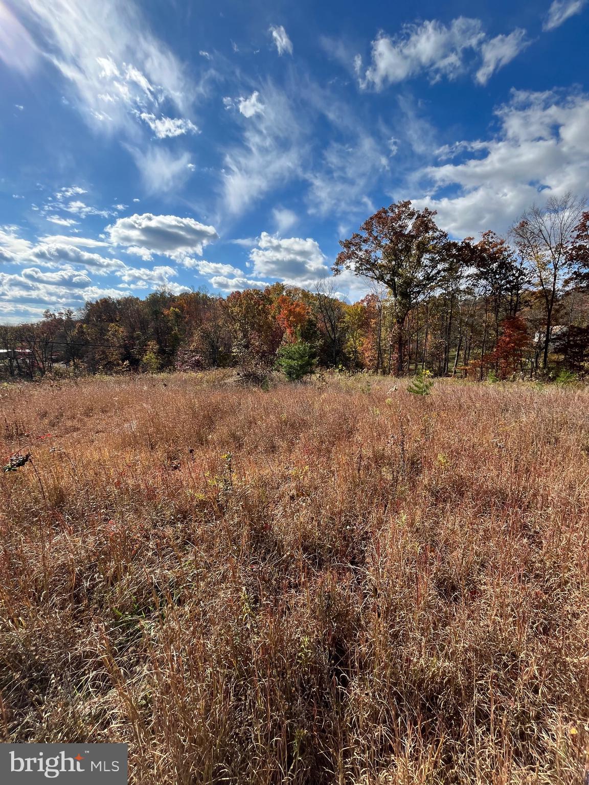 CHESTNUT HILL - Land