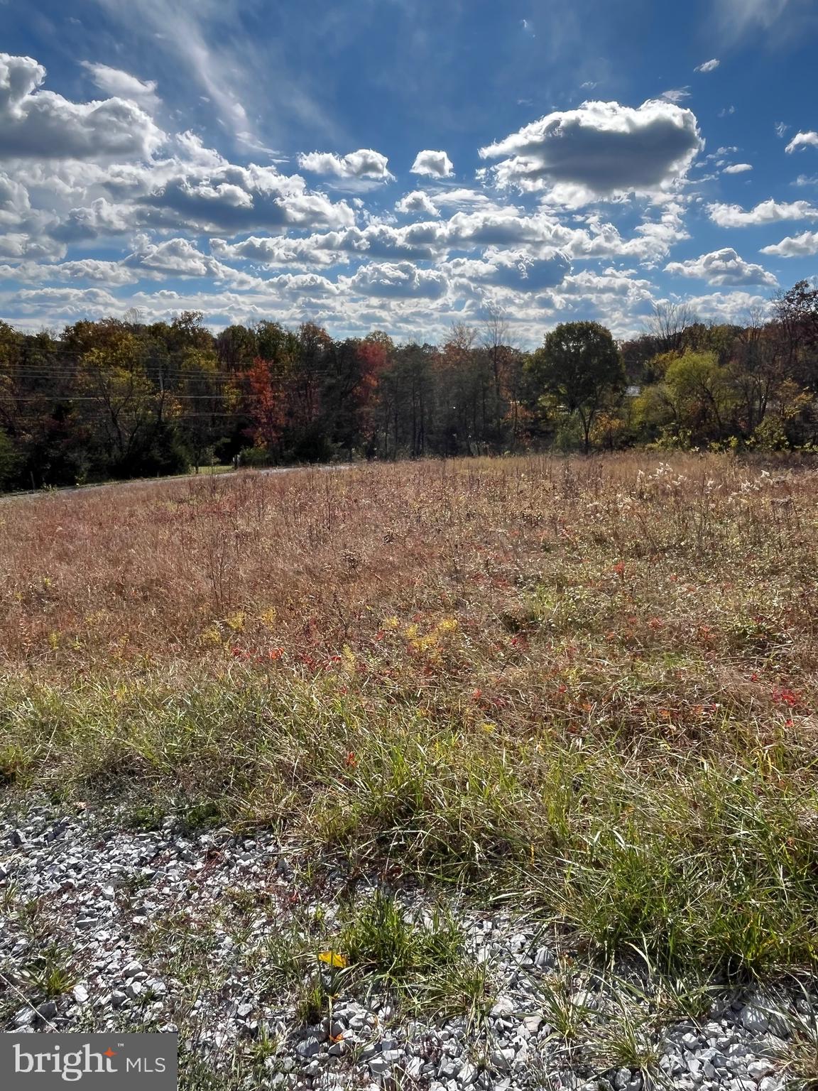 CHESTNUT HILL - Land