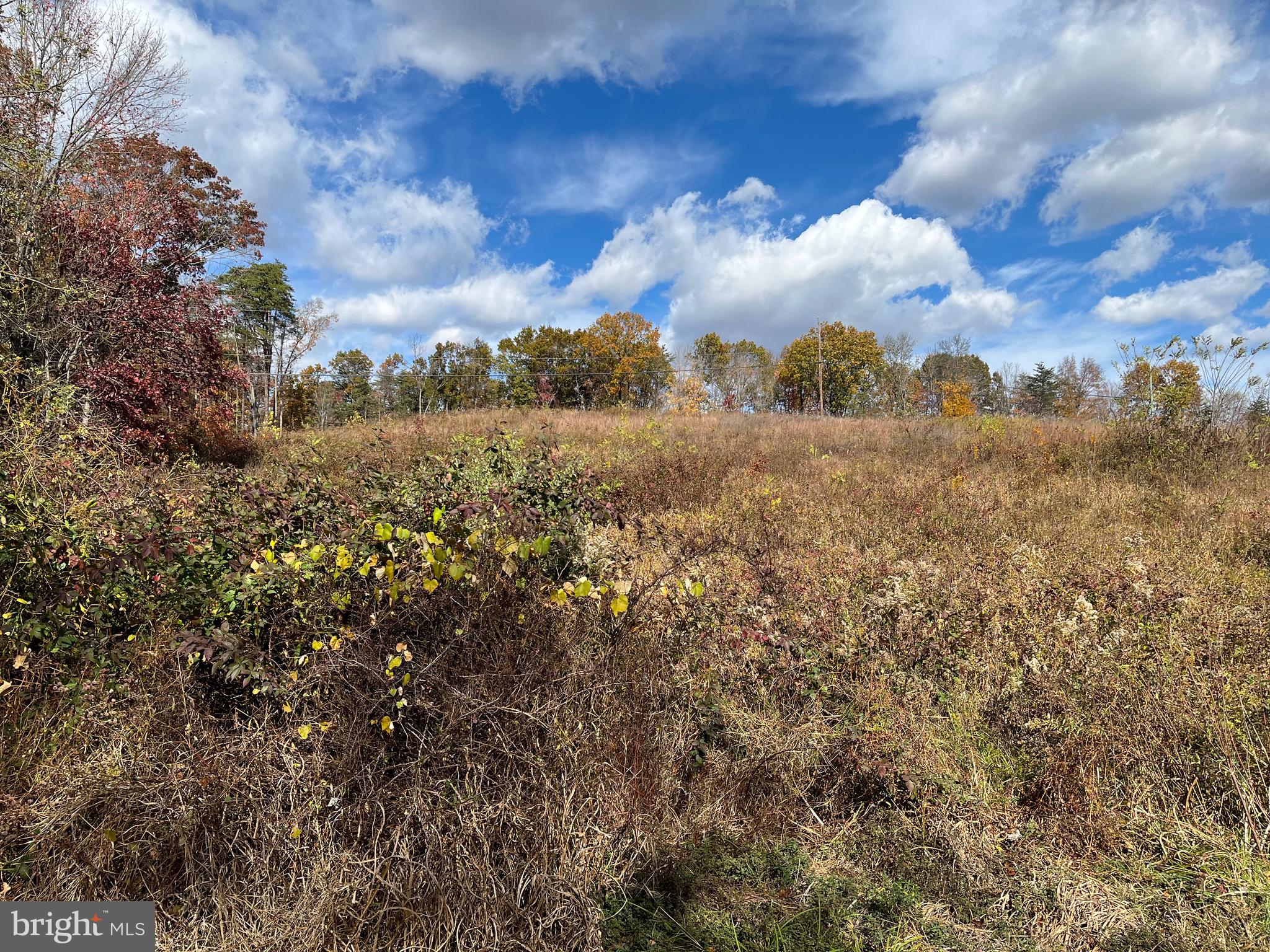 CHESTNUT HILL - Land