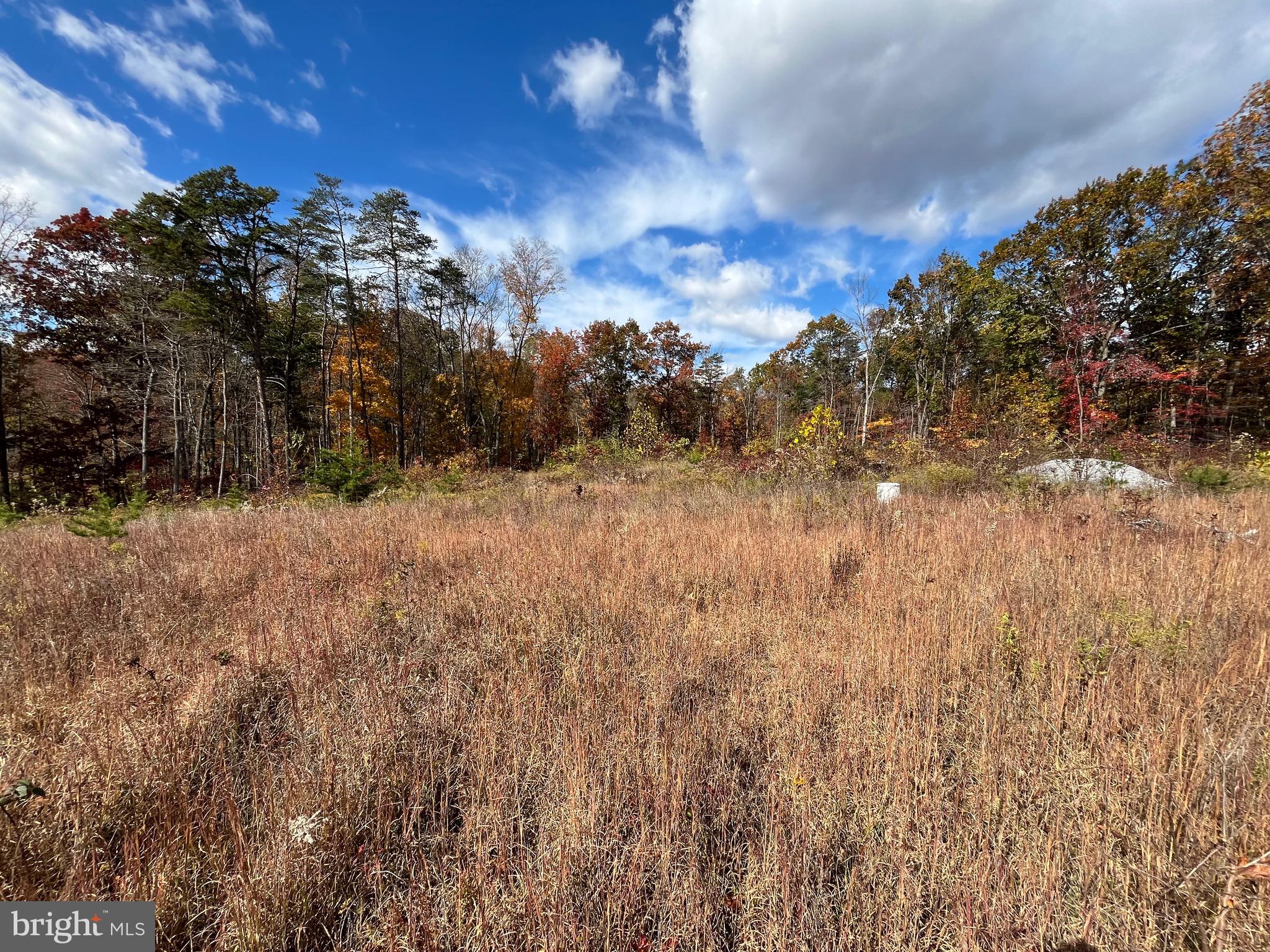 CHESTNUT HILL - Land