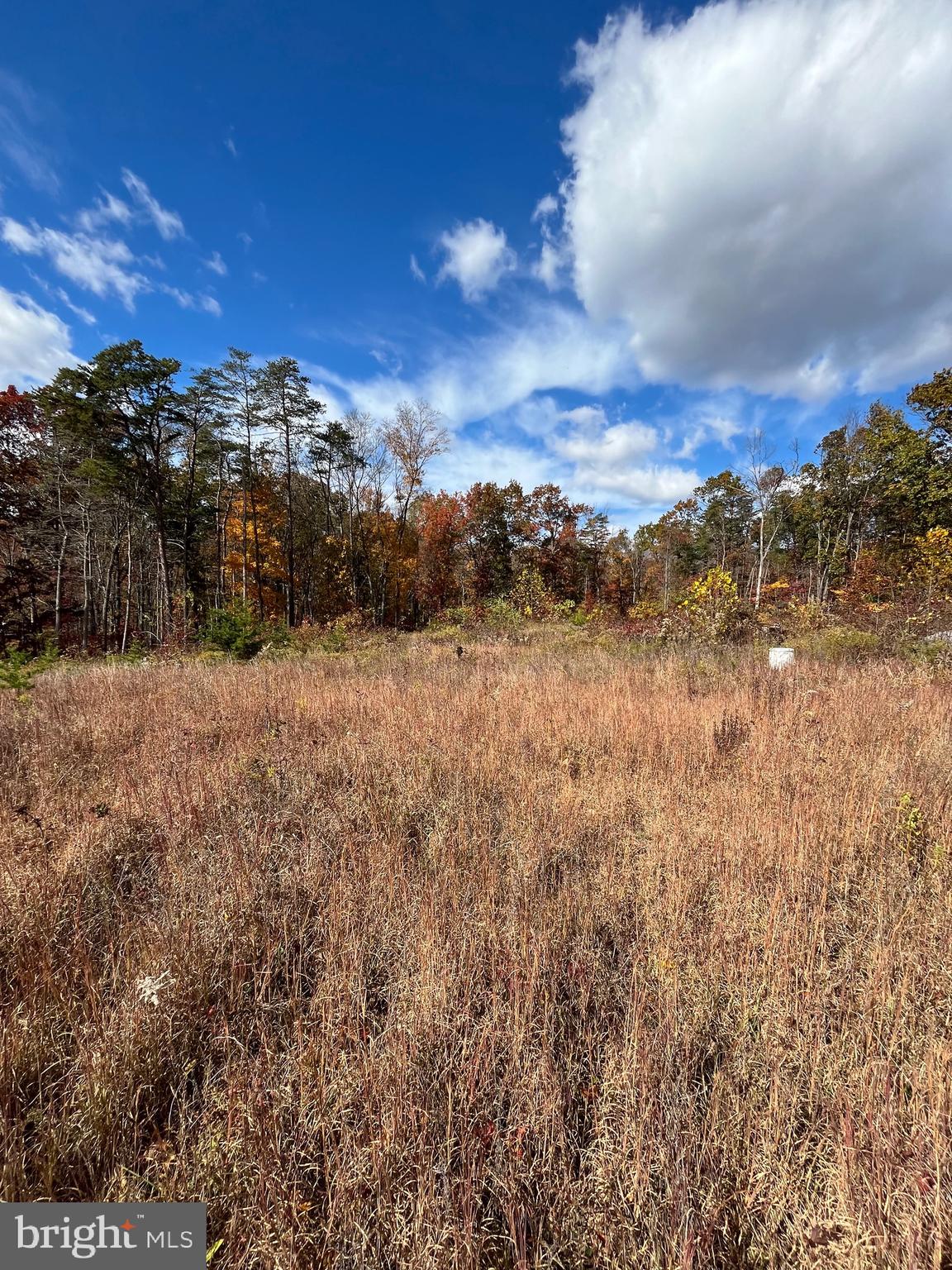 CHESTNUT HILL - Land