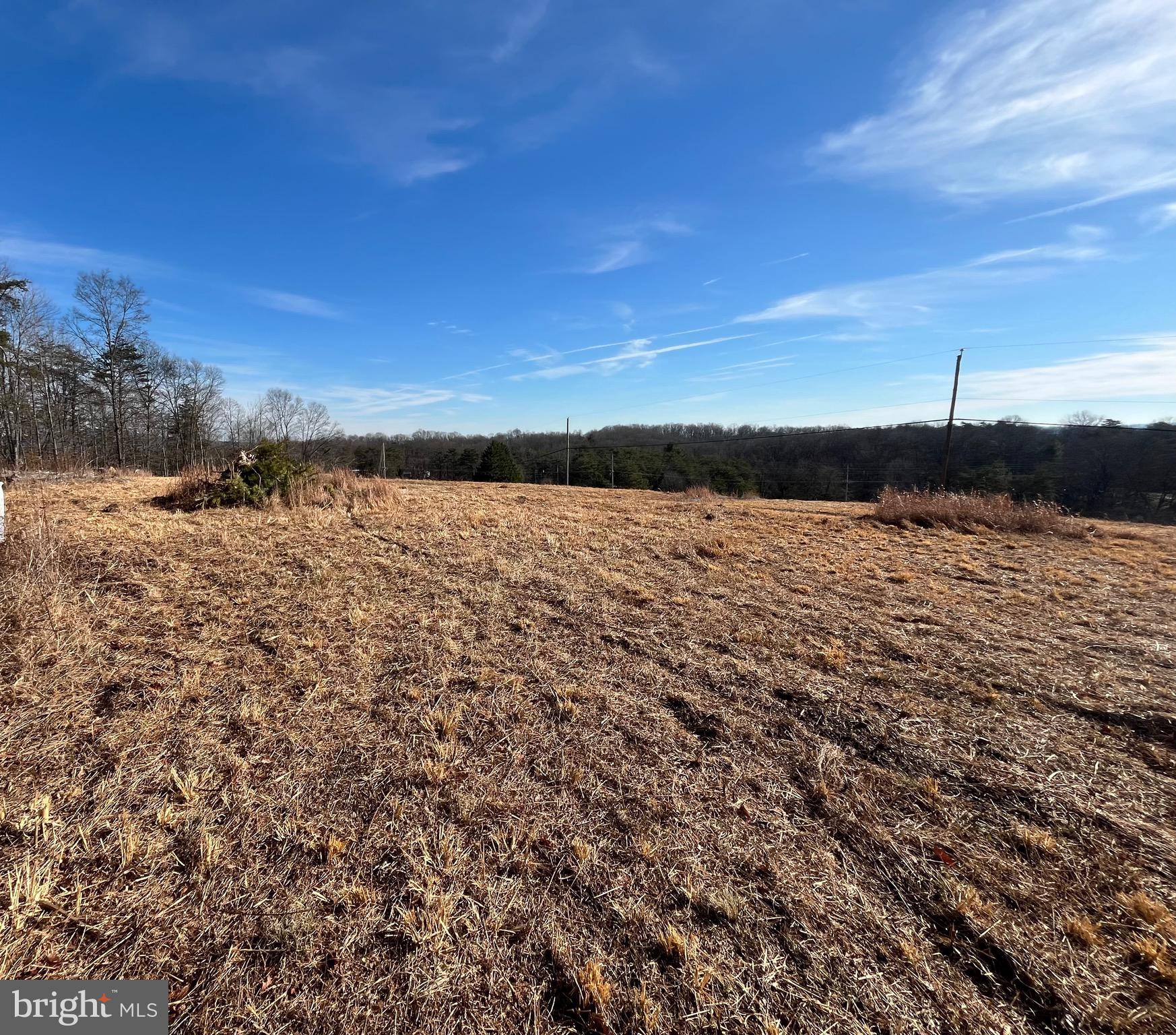 CHESTNUT HILL - Land