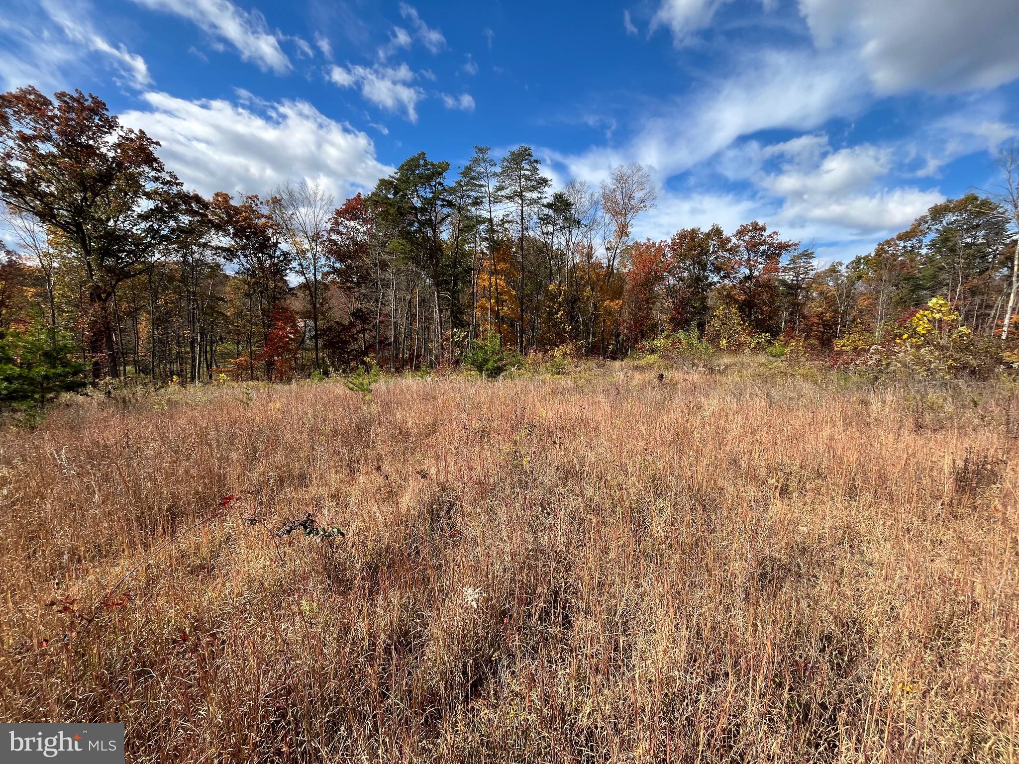 CHESTNUT HILL - Land