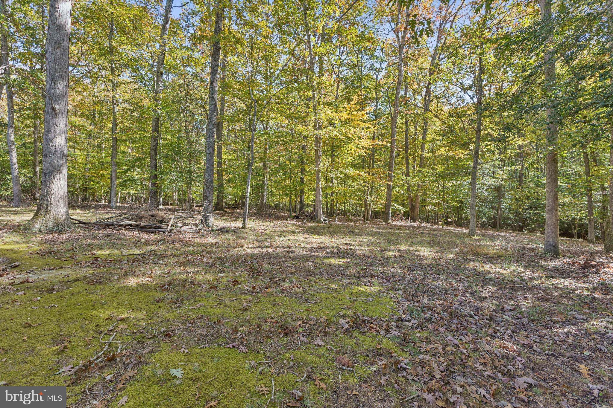 LOCUST GROVE ESTATES - Residential