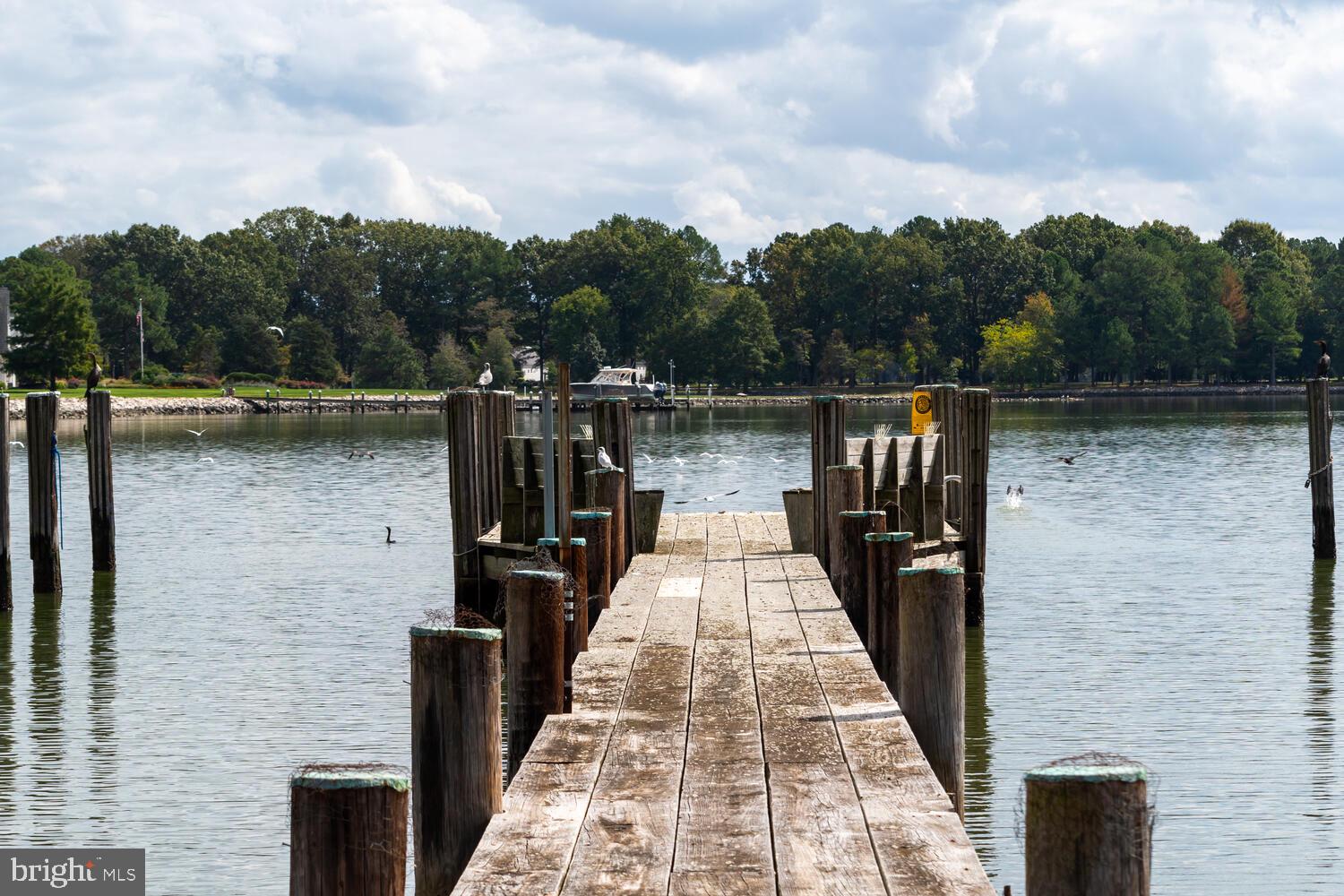 WITTMAN - Residential