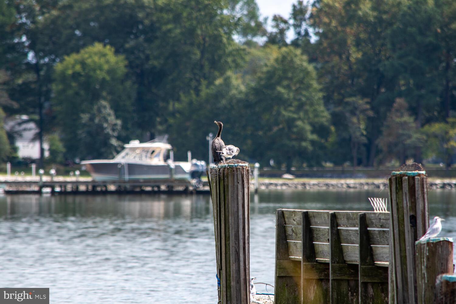 WITTMAN - Residential