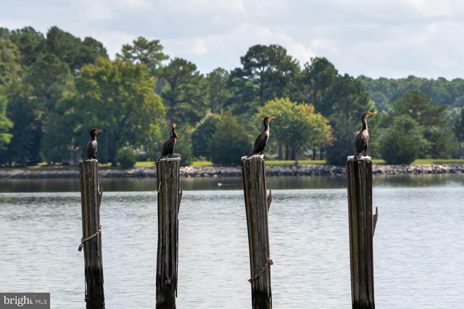 WITTMAN - Residential