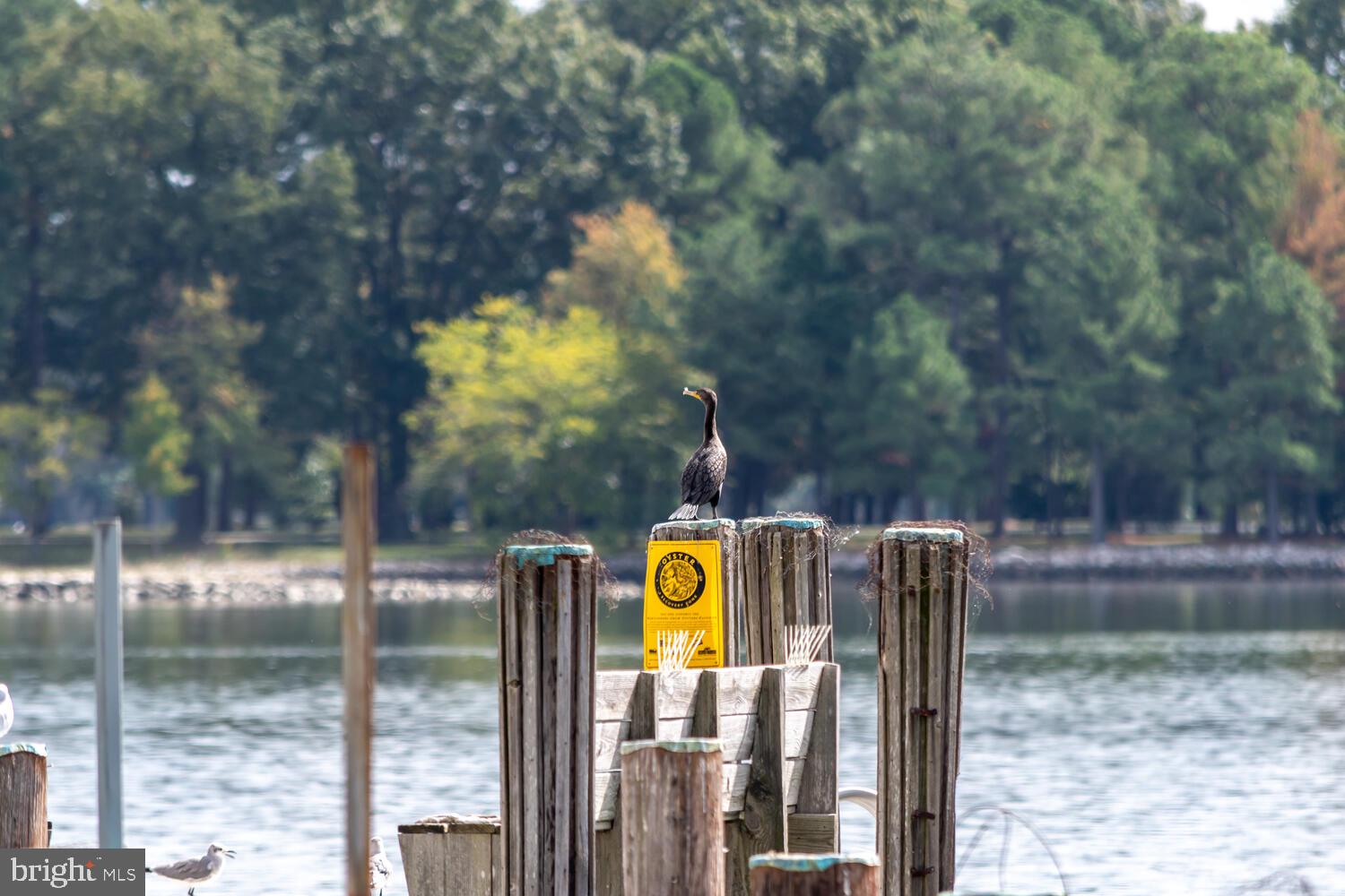 WITTMAN - Residential