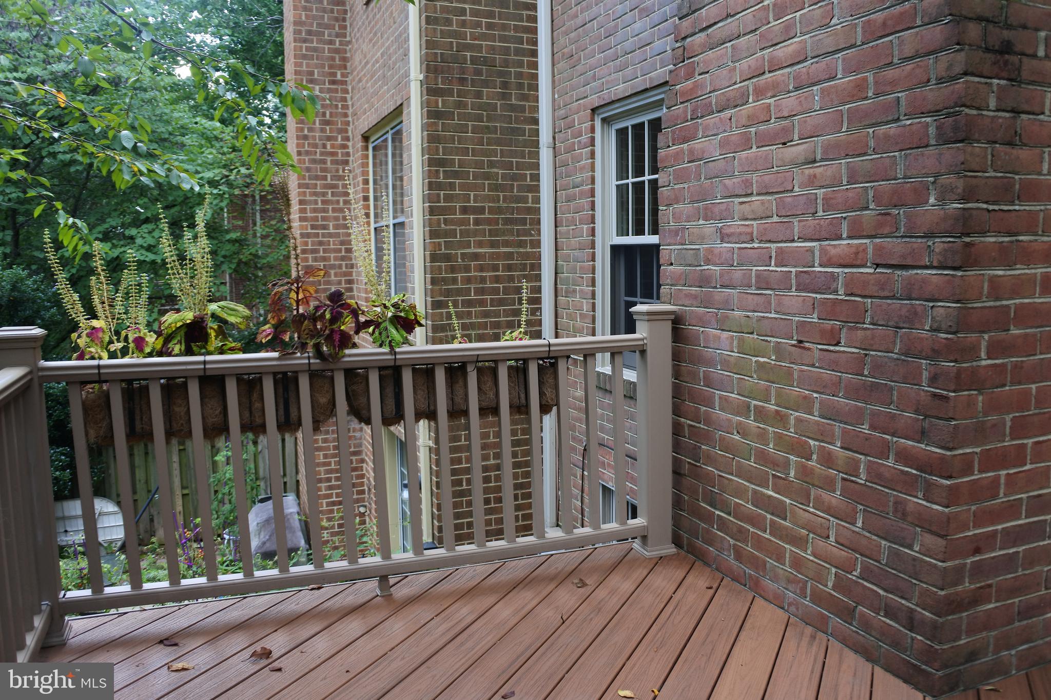 DOMINION - Residential Lease