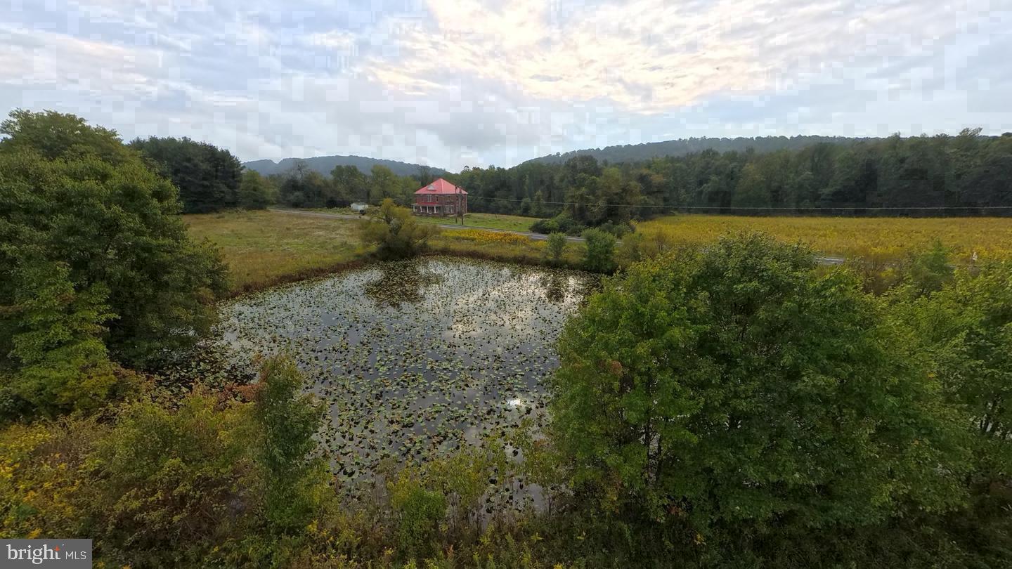 00 Lot 8 PINE GROVE ROAD
