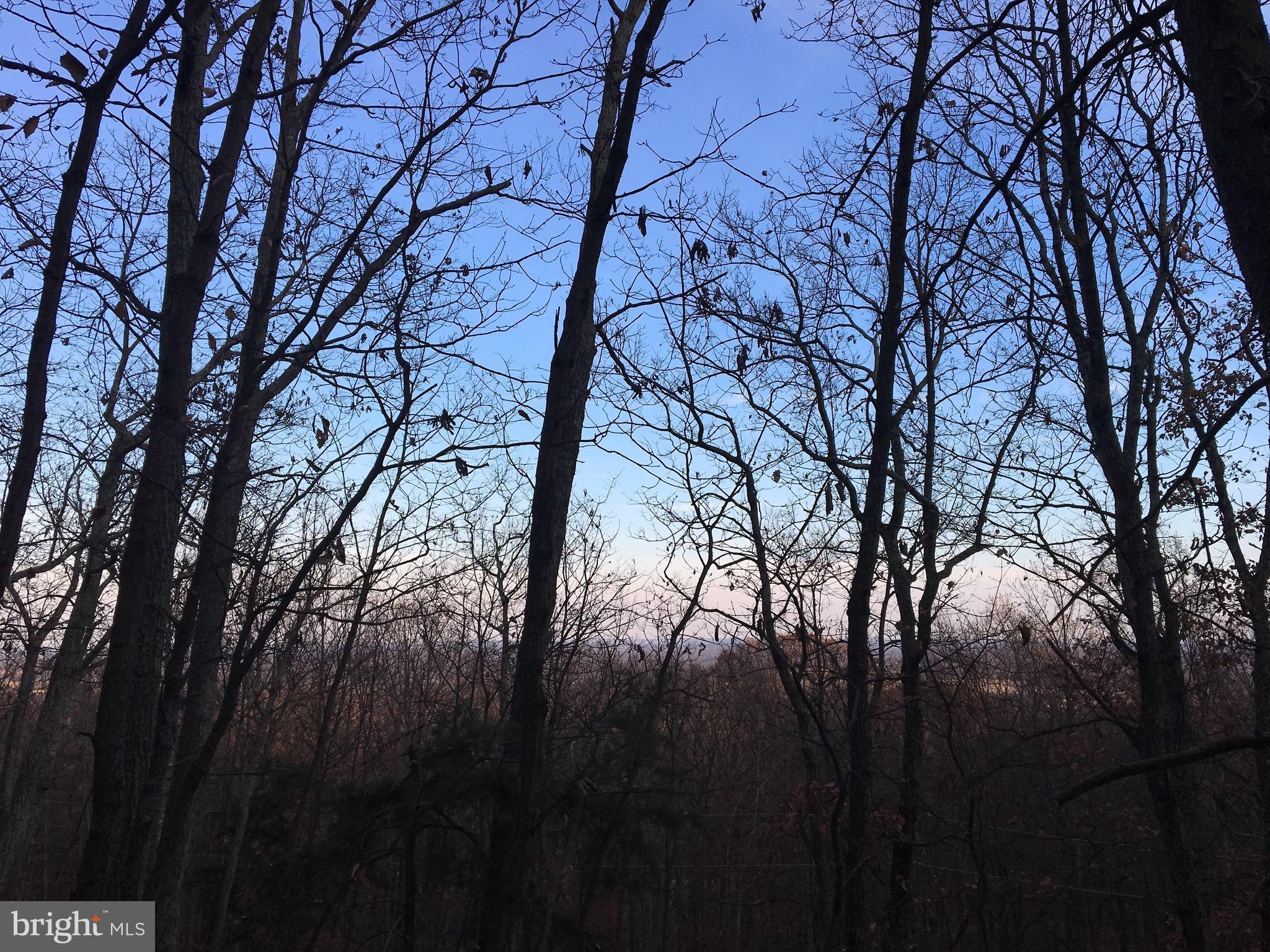 BULL RUN MOUNTAIN ESTATE - Land