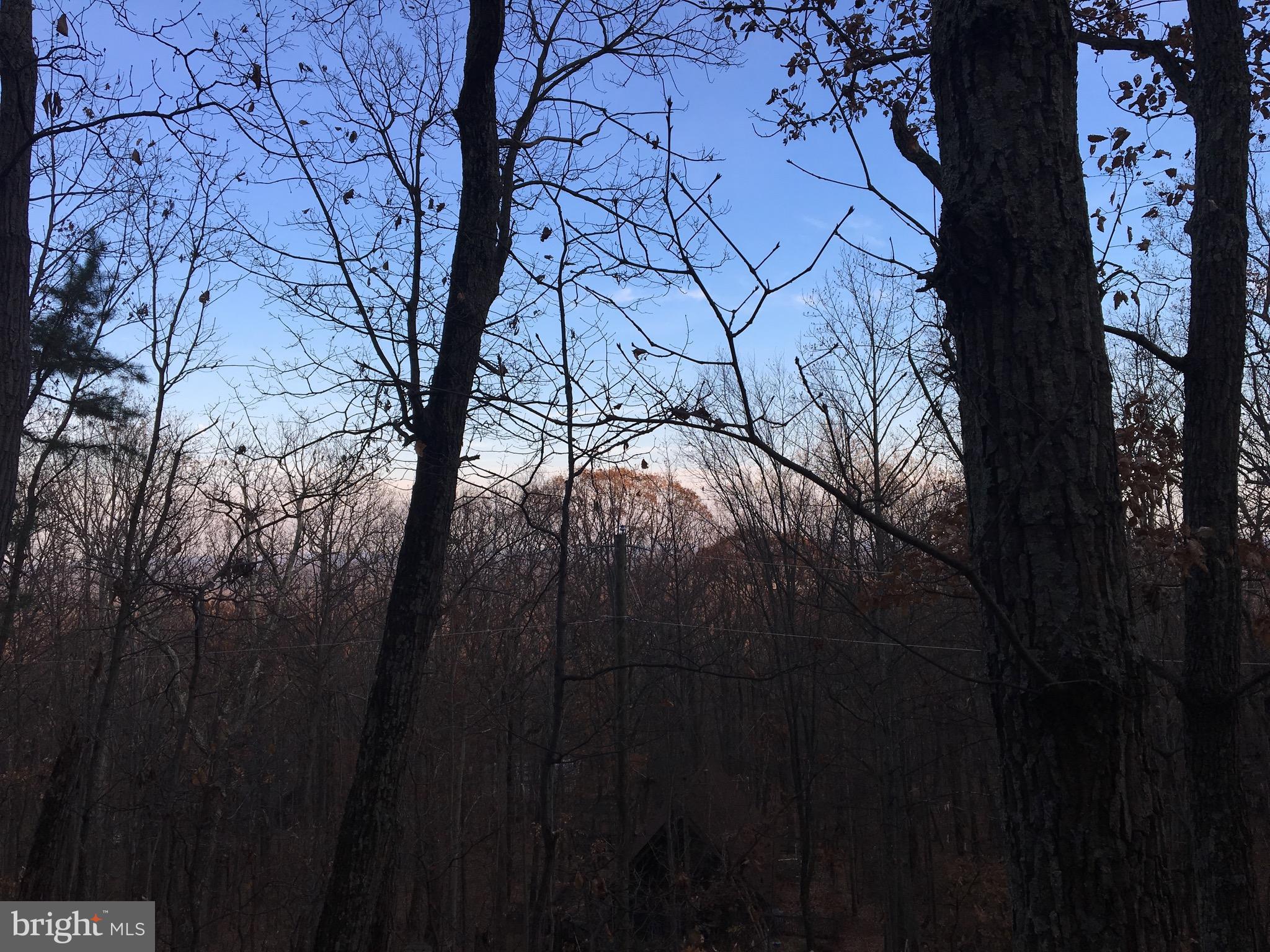 BULL RUN MOUNTAIN ESTATE - Land