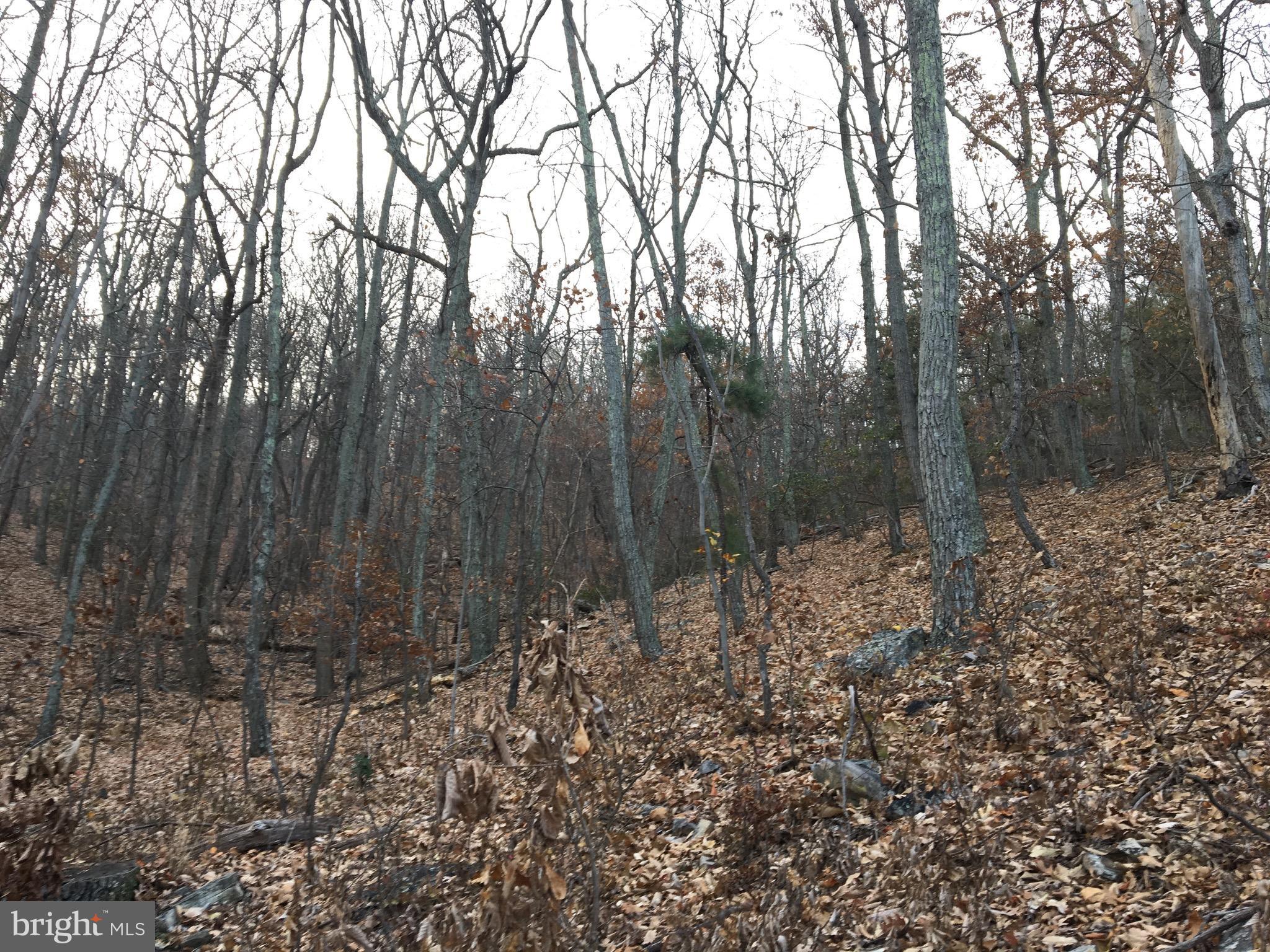 BULL RUN MOUNTAIN ESTATE - Land