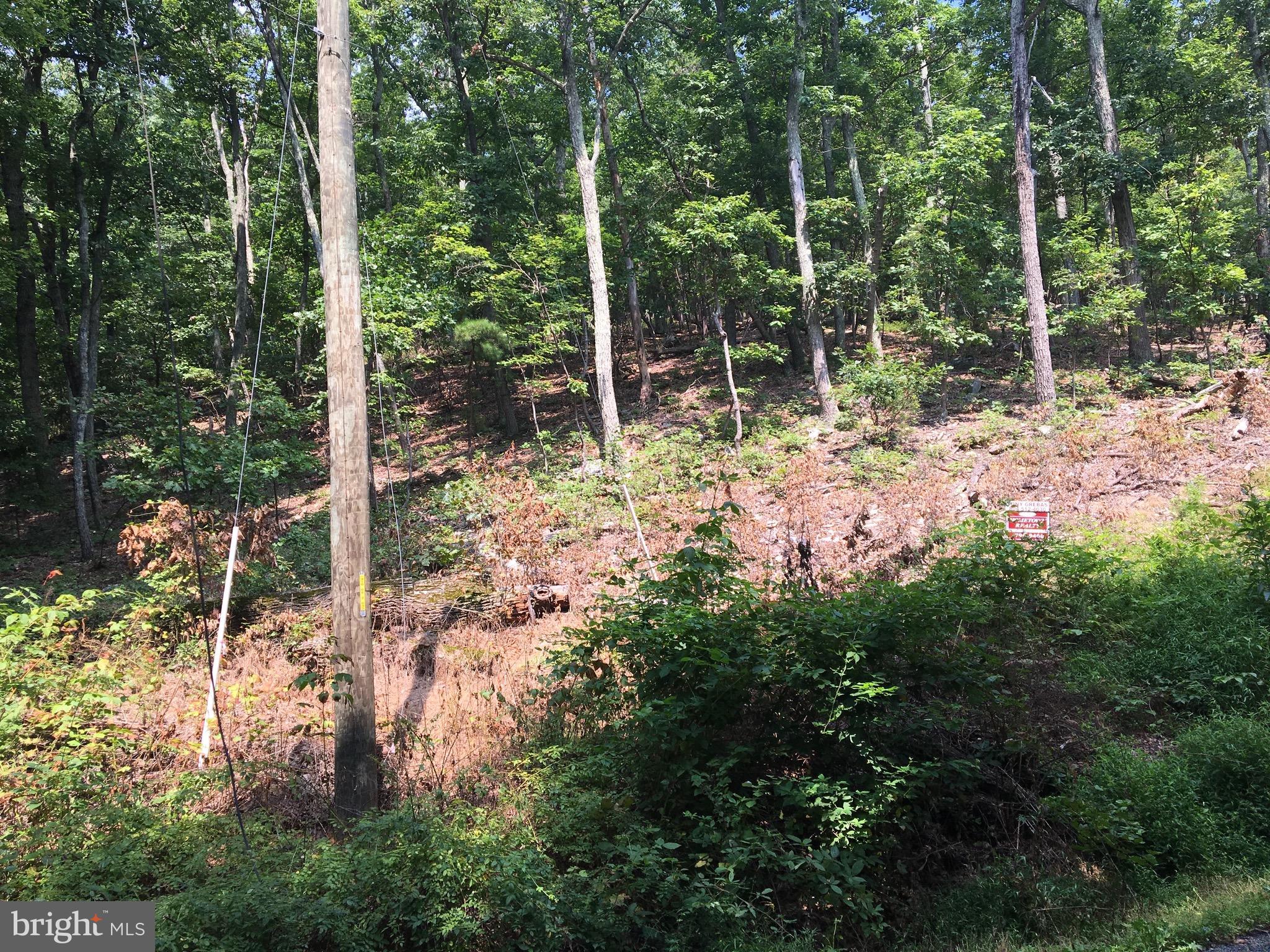 BULL RUN MOUNTAIN ESTATE - Land